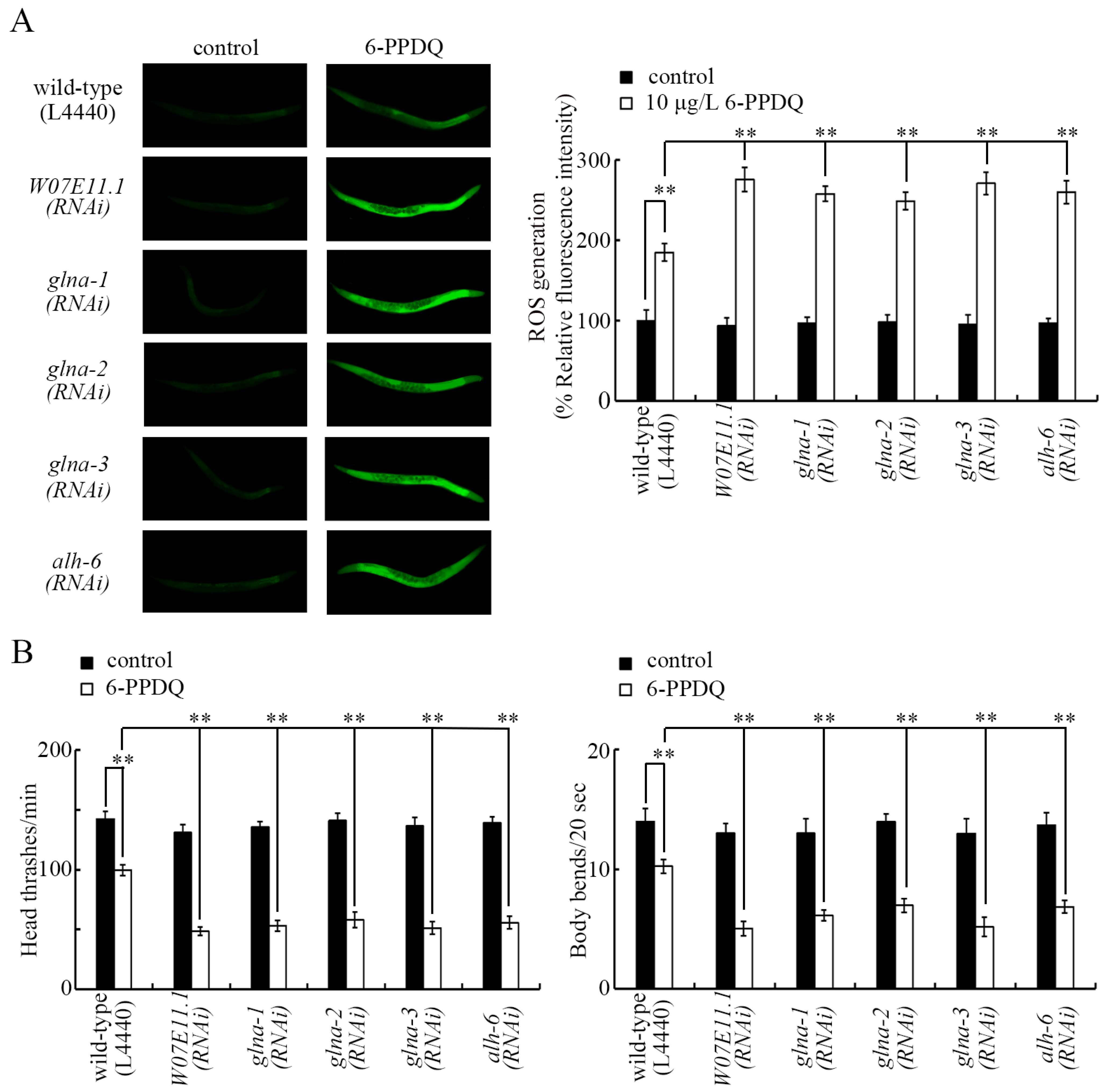 Toxics 13 00434 g003