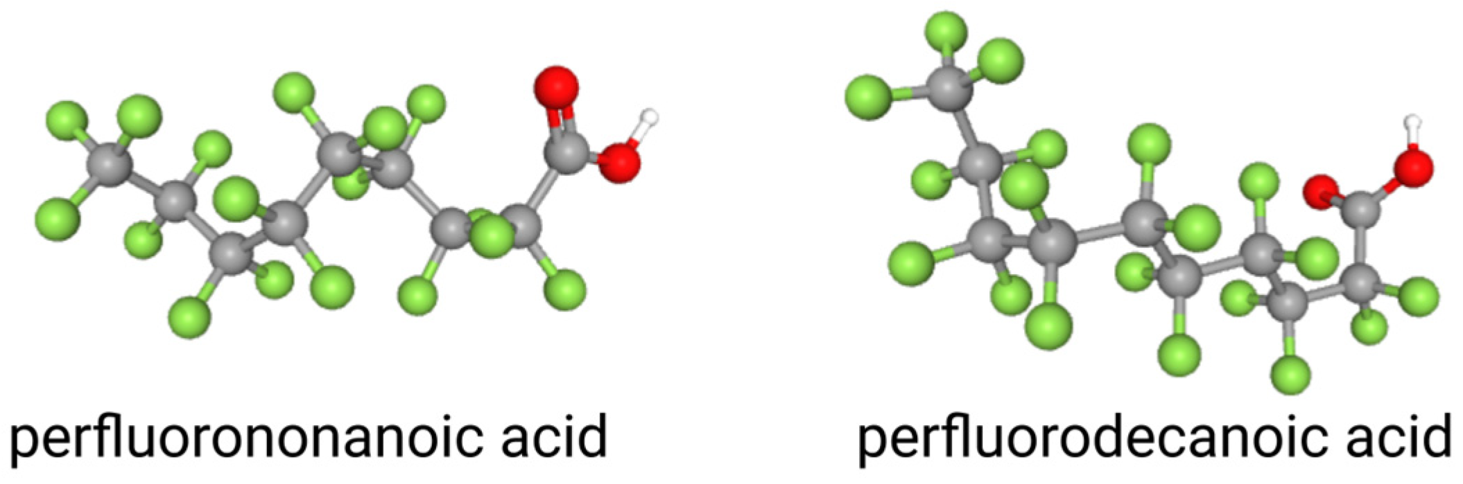 Toxics 13 00436 g001