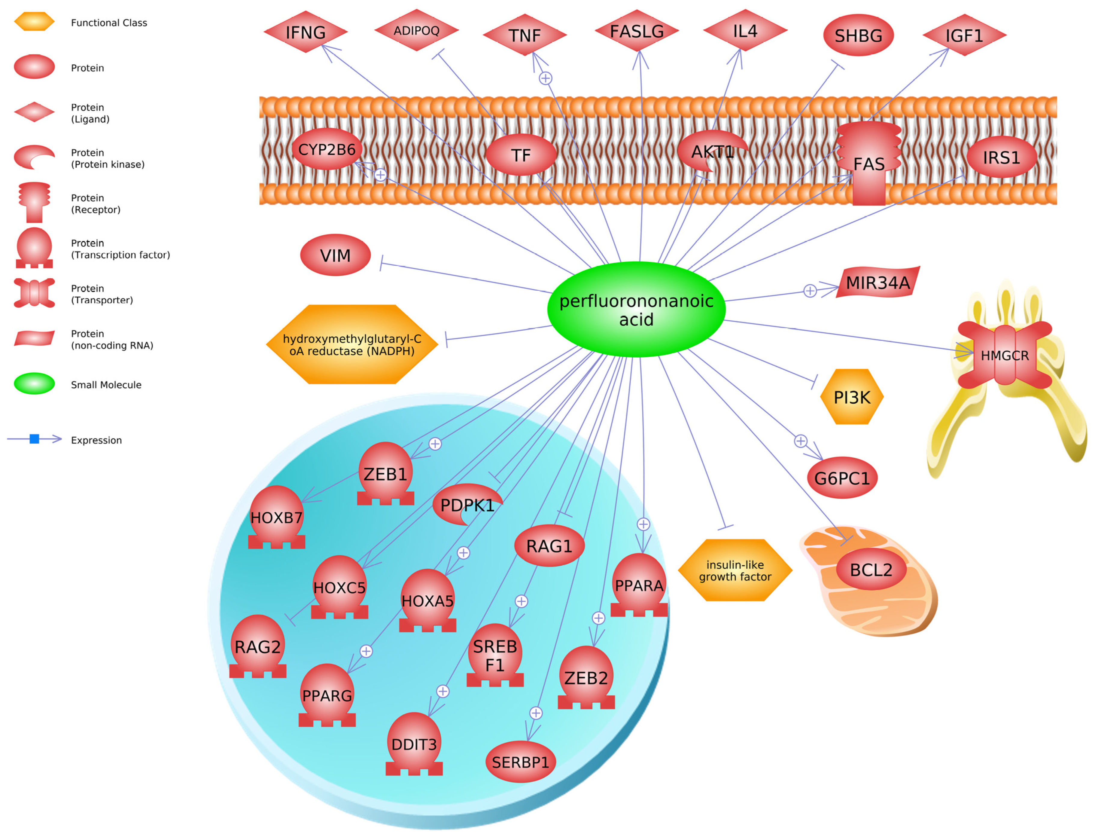 Toxics 13 00436 g004