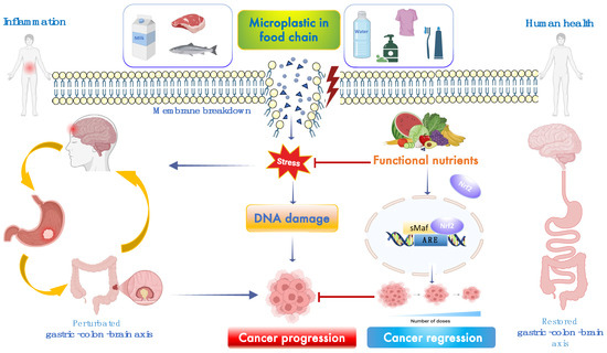 Toxics 13 00438 g001