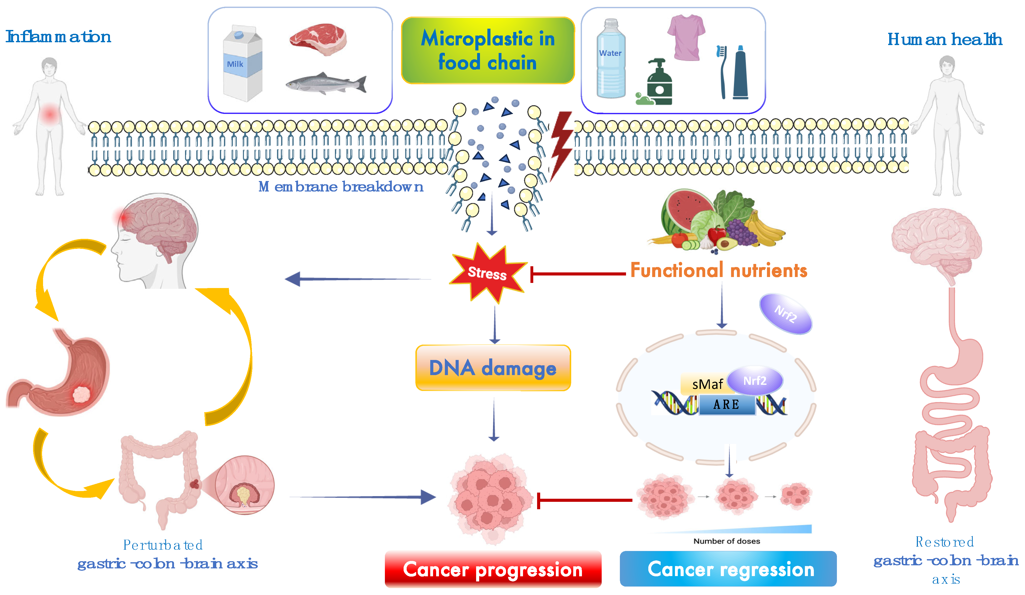 Toxics 13 00438 g001