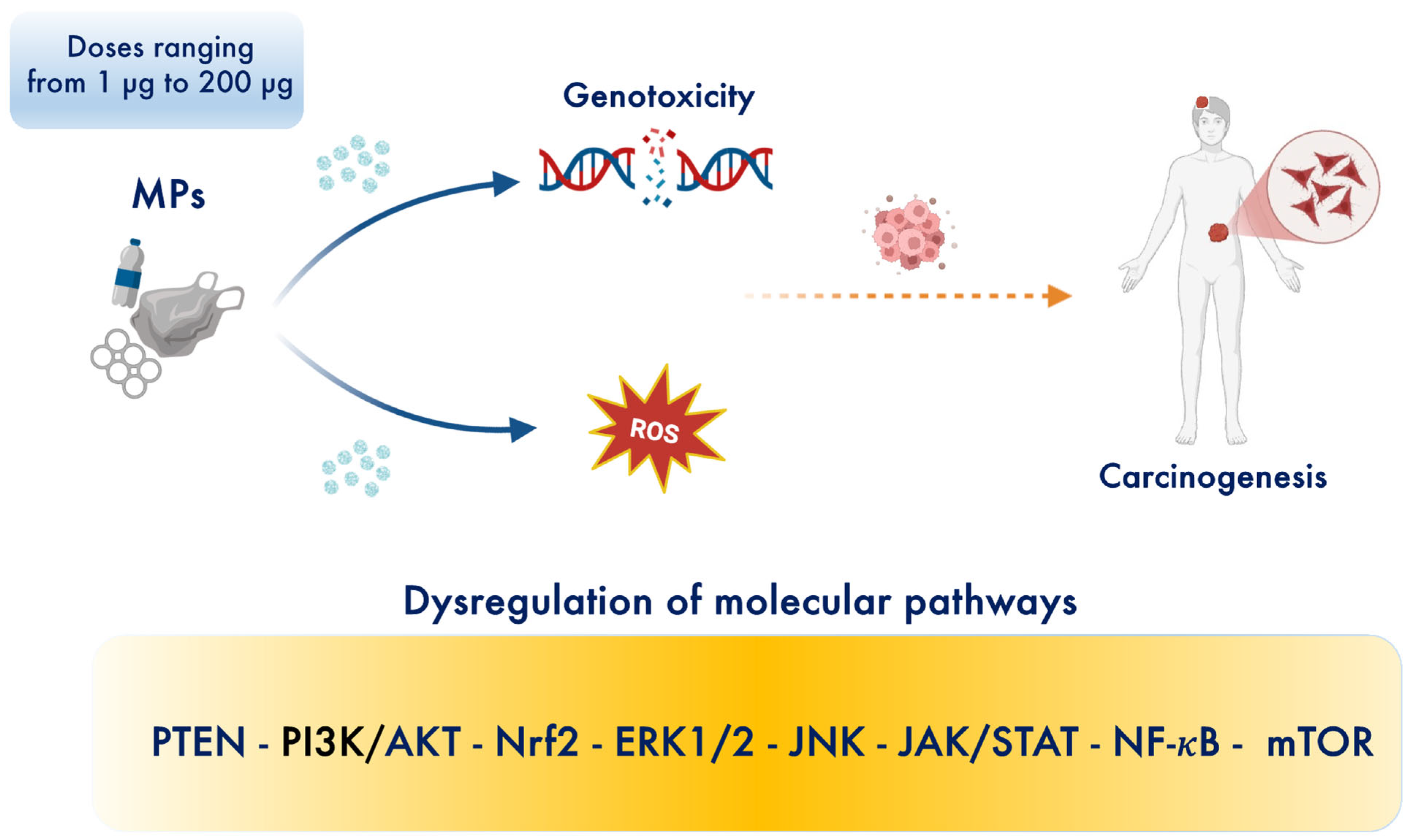 Toxics 13 00438 g002