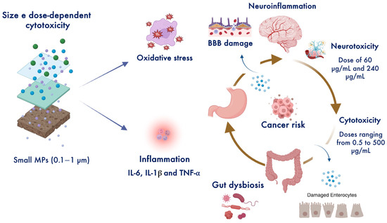 Toxics 13 00438 g003