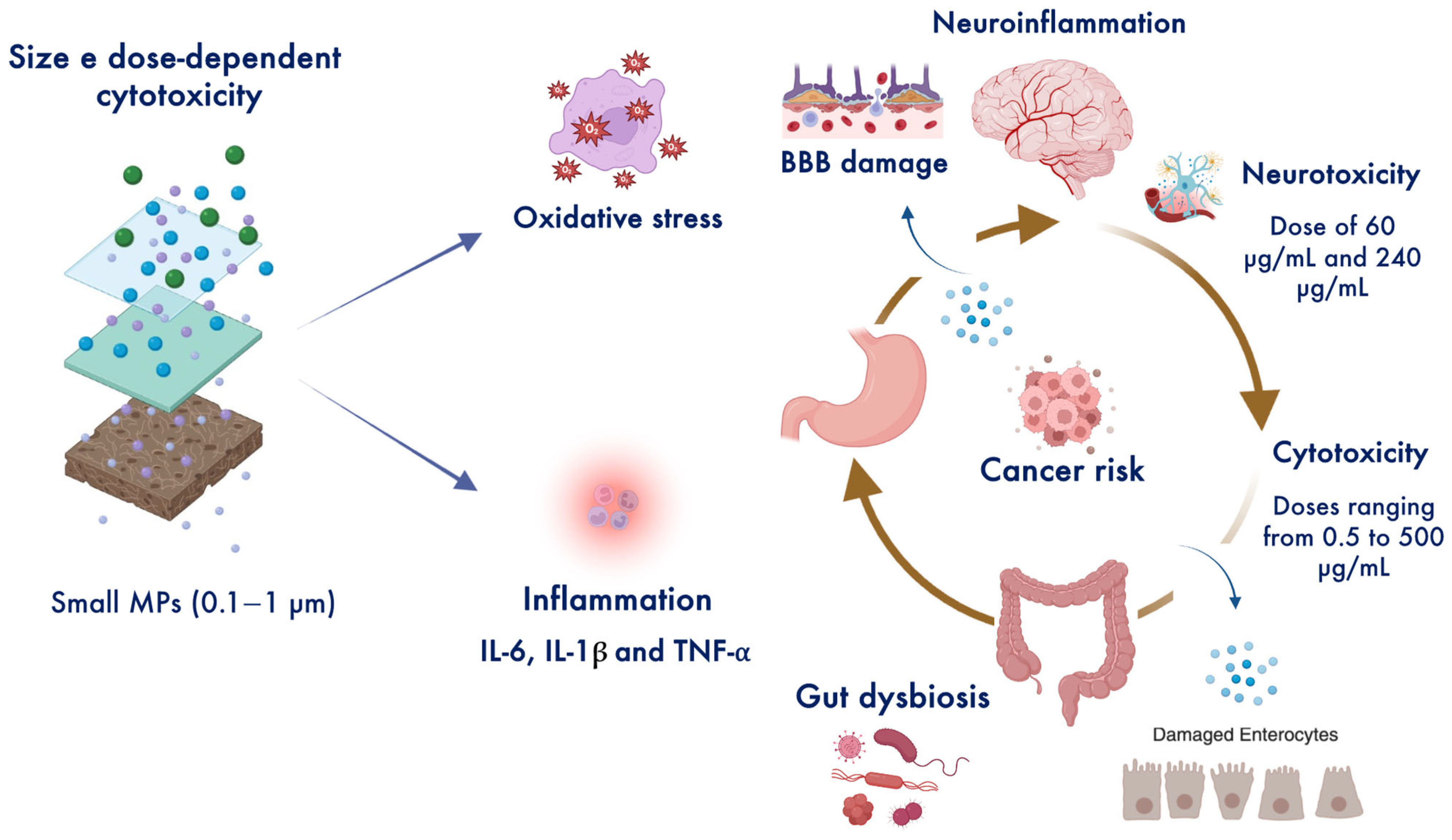 Toxics 13 00438 g003
