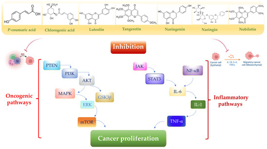 Toxics 13 00438 g005