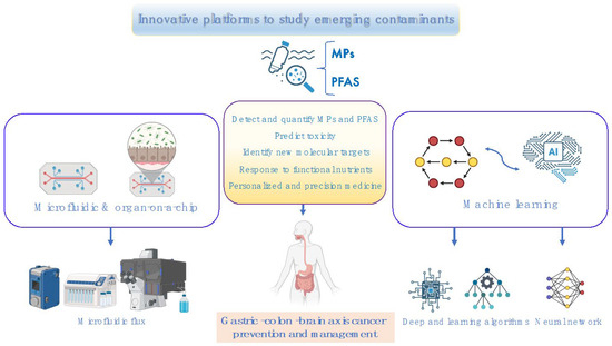 Toxics 13 00438 g006
