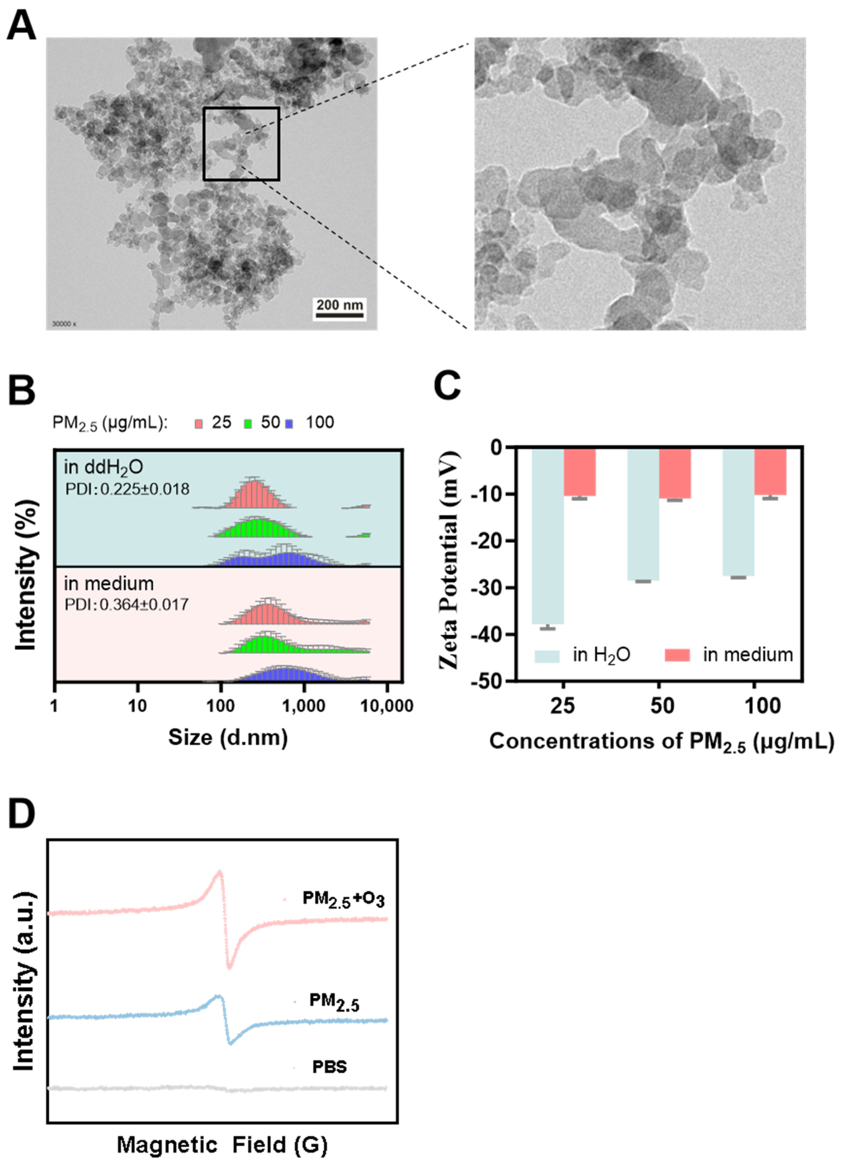 Toxics 13 00446 g001
