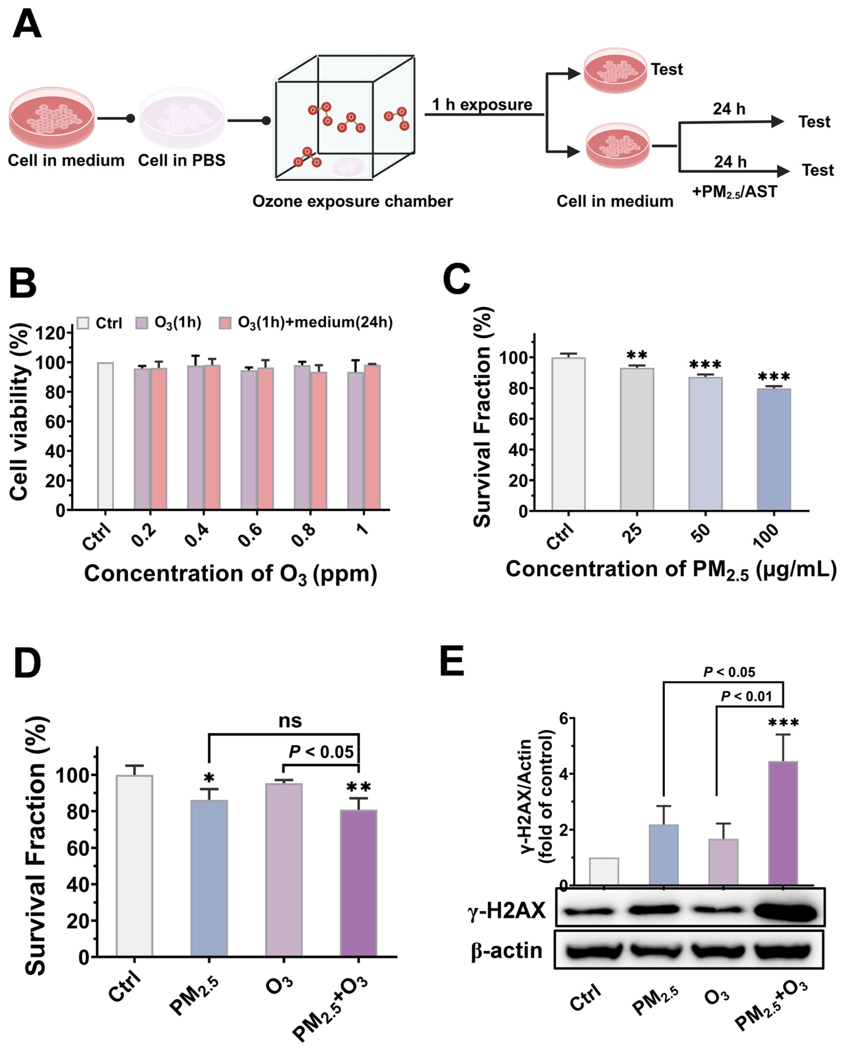 Toxics 13 00446 g002