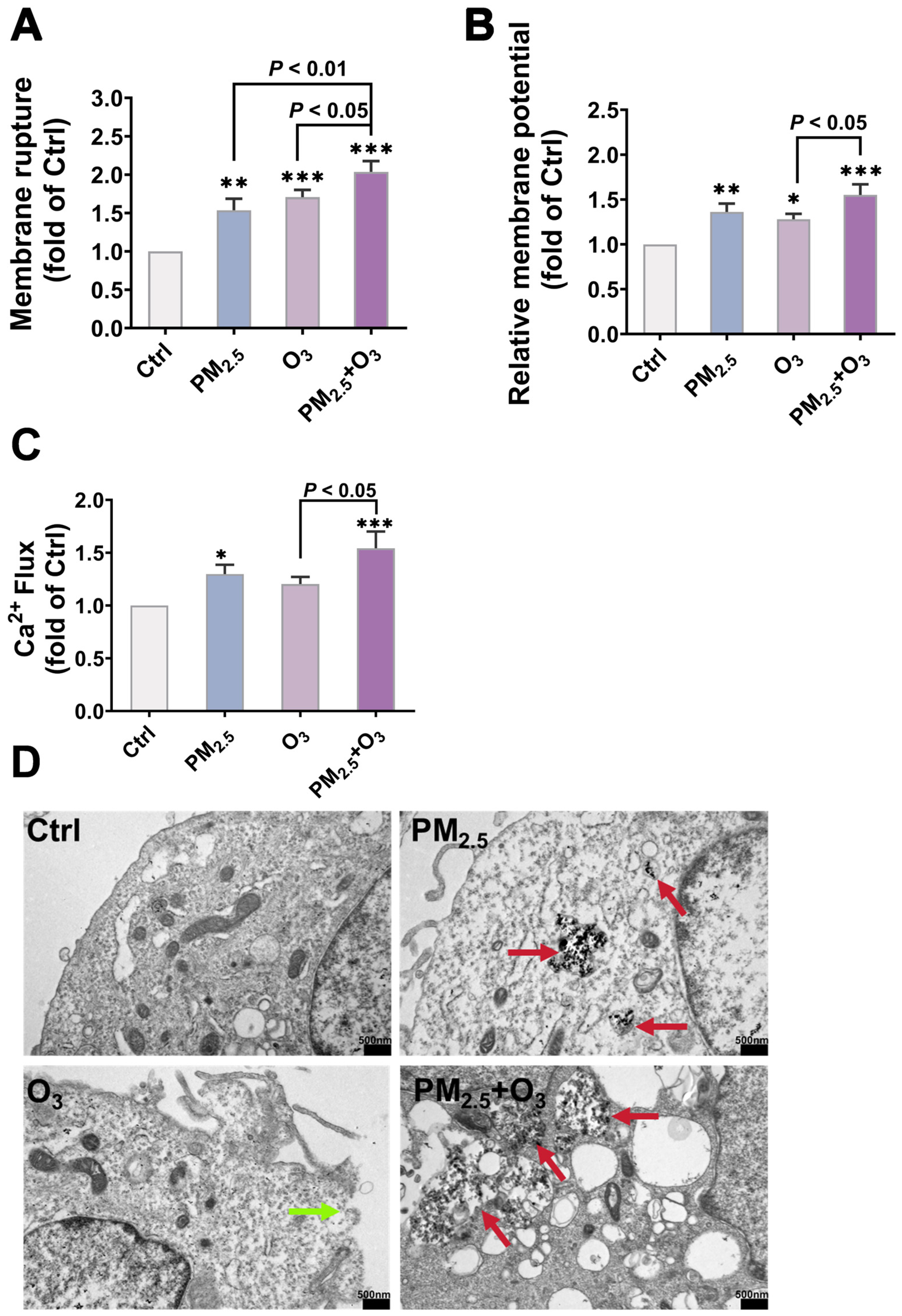 Toxics 13 00446 g004
