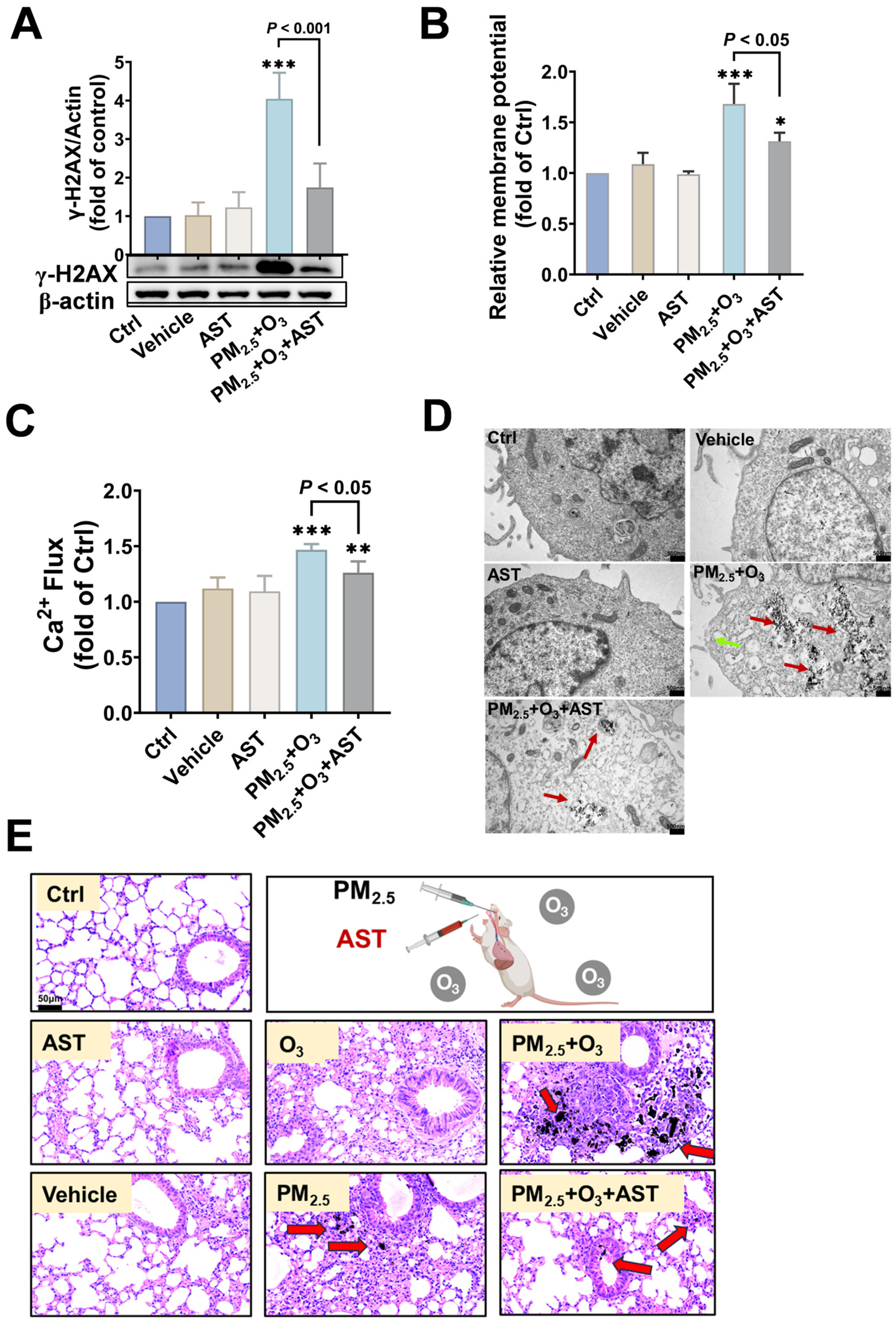 Toxics 13 00446 g005