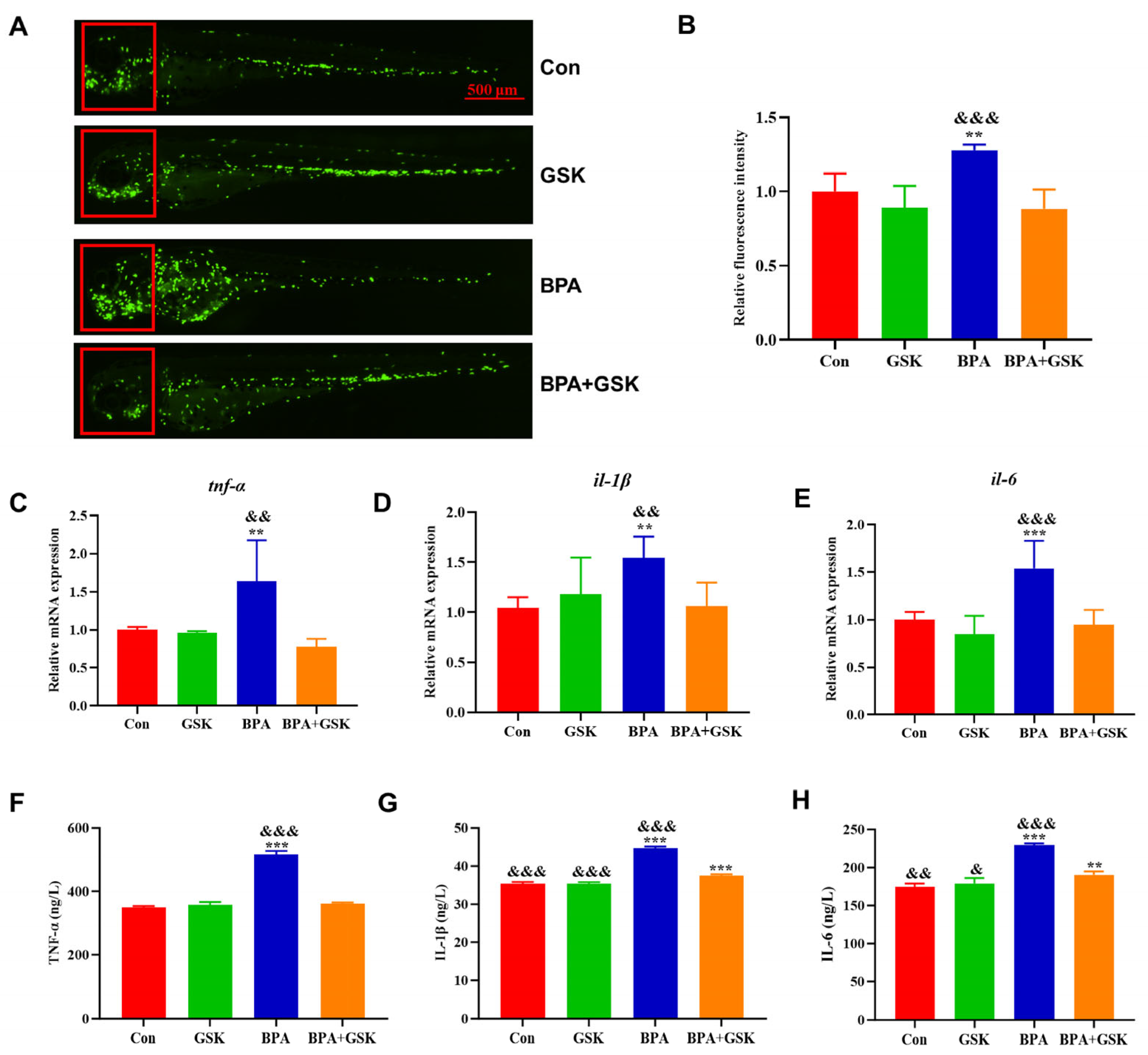 Toxics 13 00449 g006