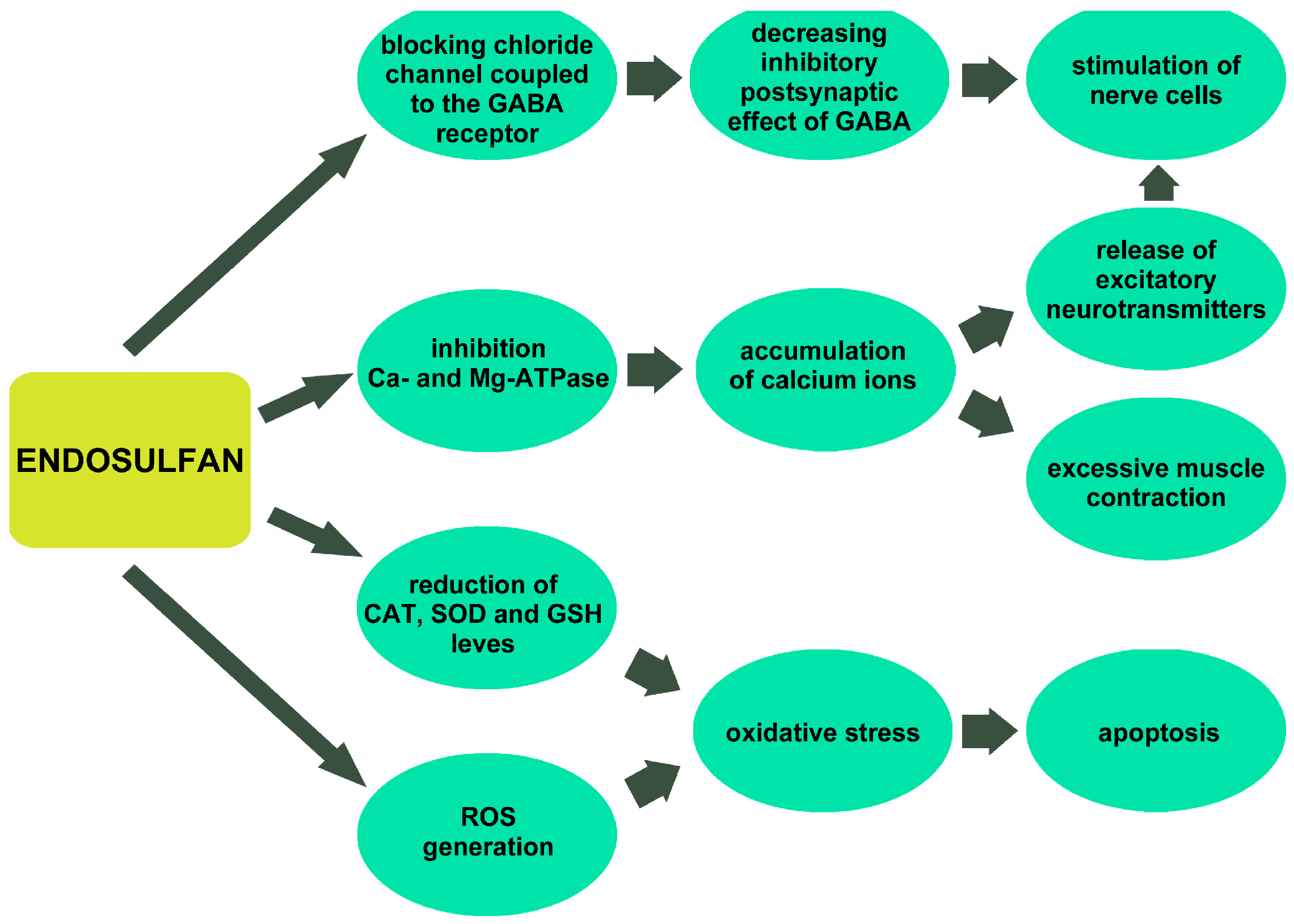 Toxics 13 00455 g001