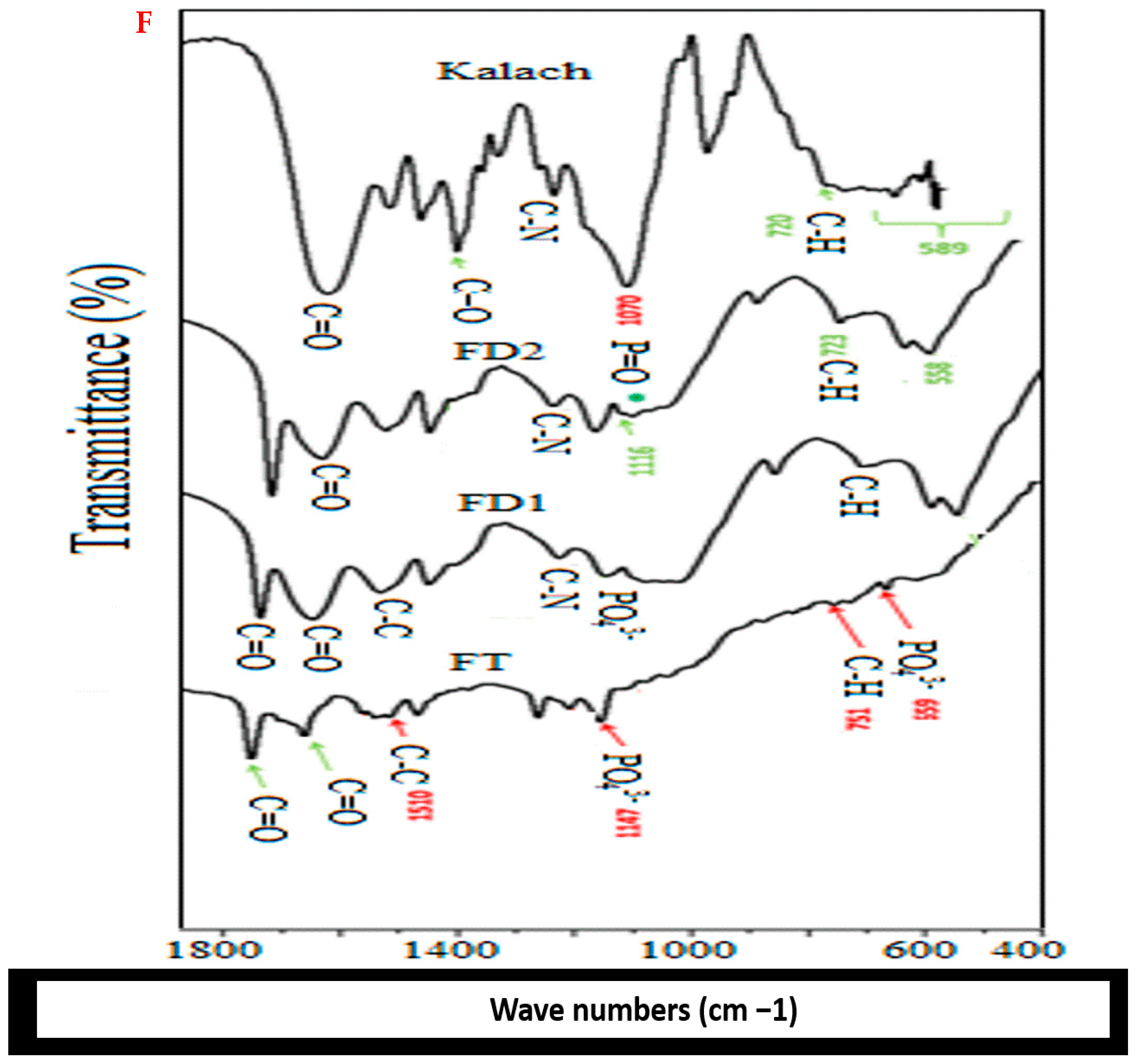 Toxics 13 00456 g002b