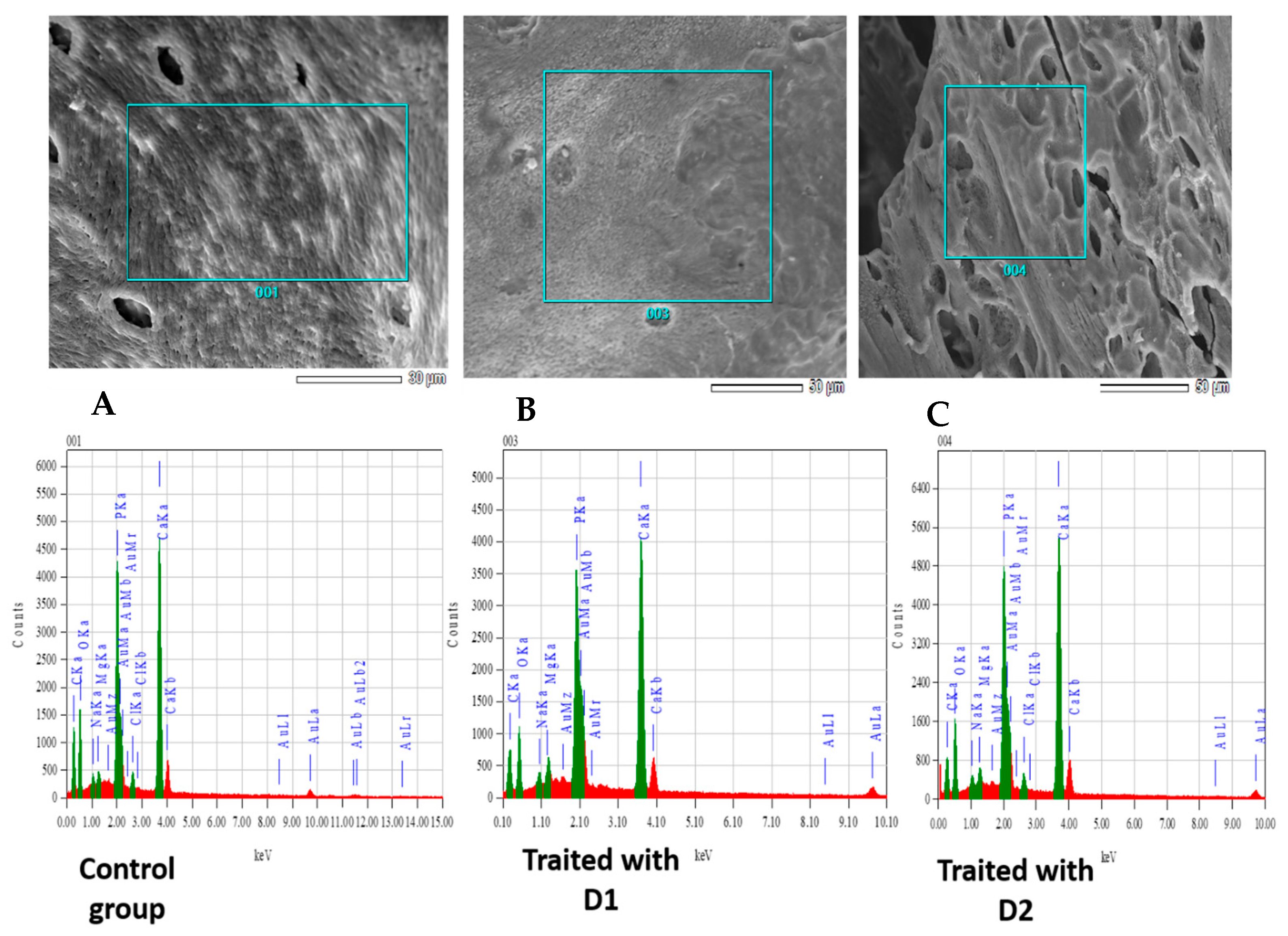 Toxics 13 00456 g004