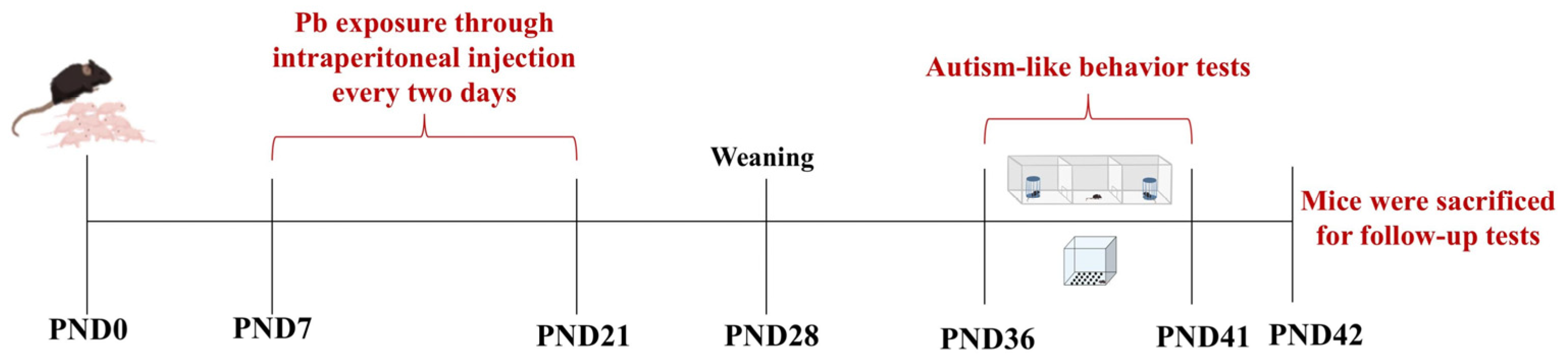 Toxics 13 00465 g001