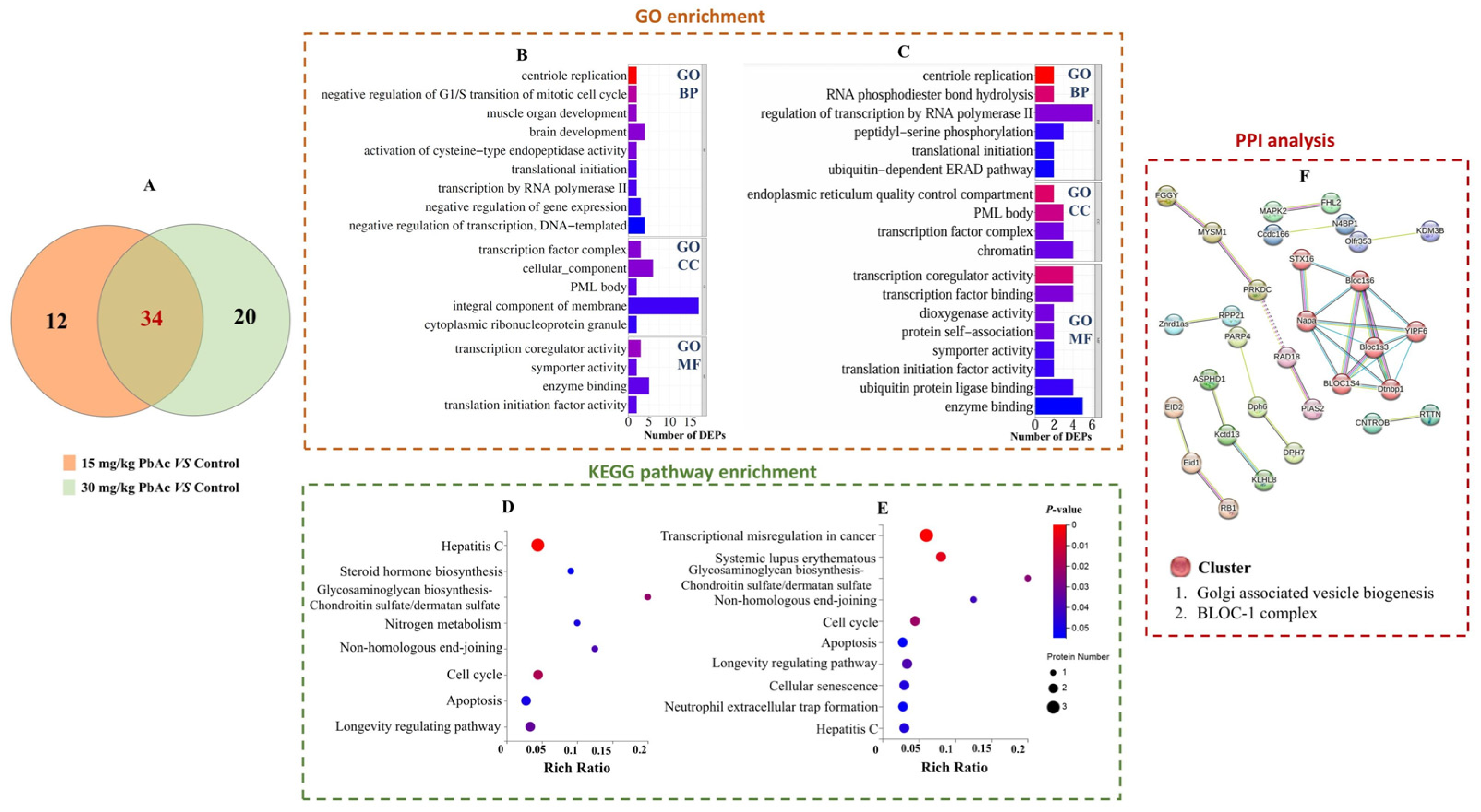 Toxics 13 00465 g007
