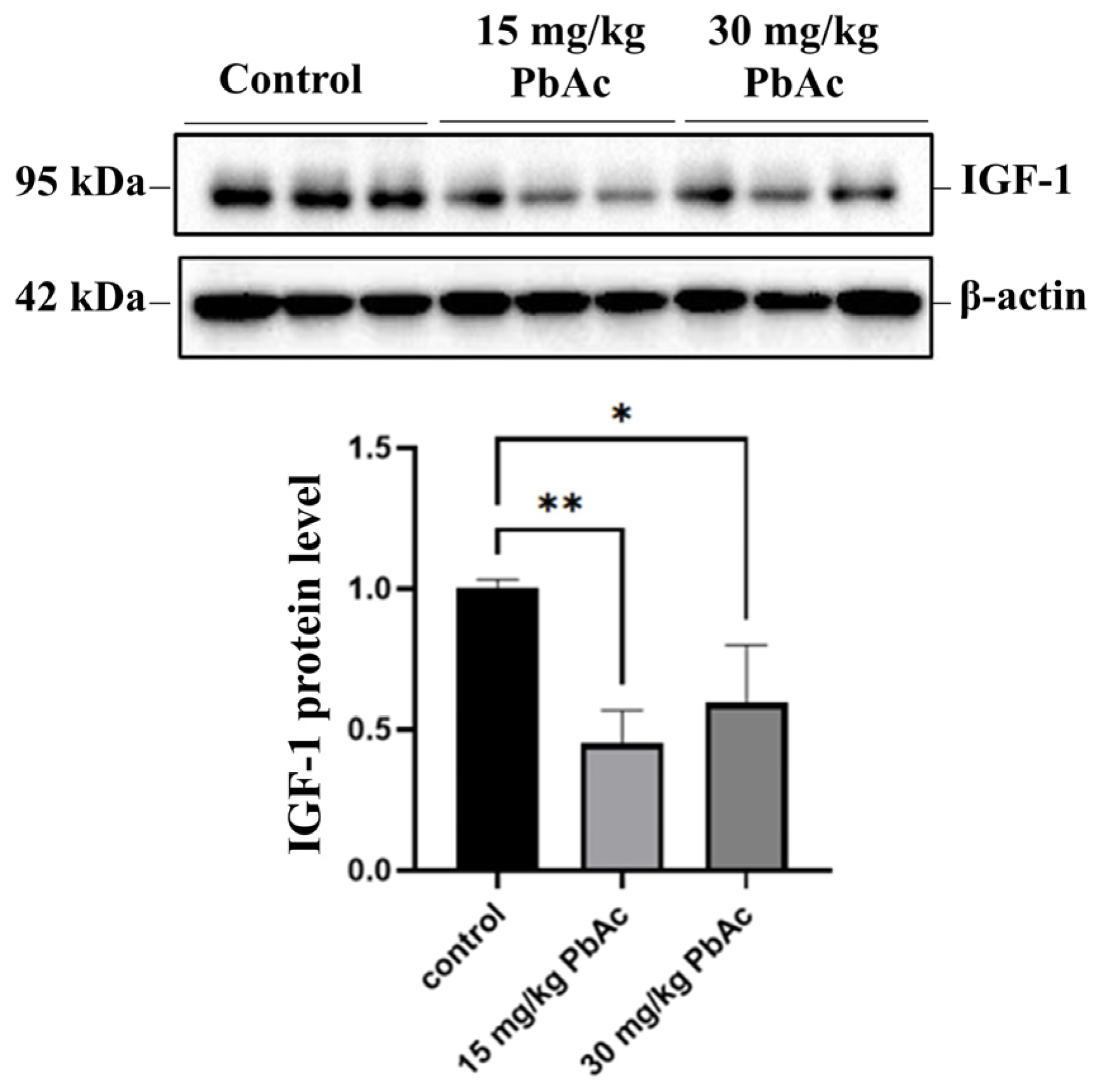 Toxics 13 00465 g009