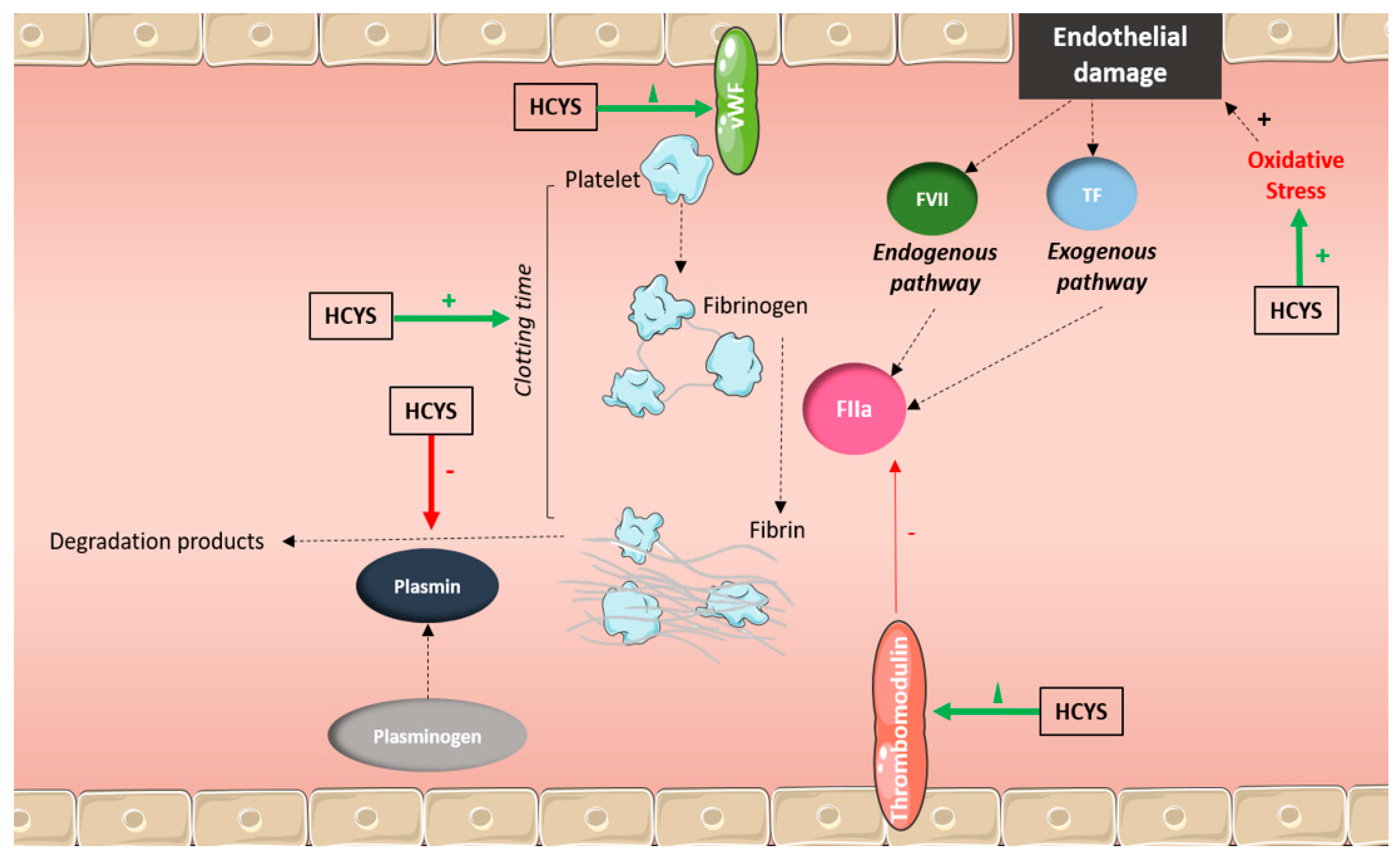 Toxics 13 00466 g002