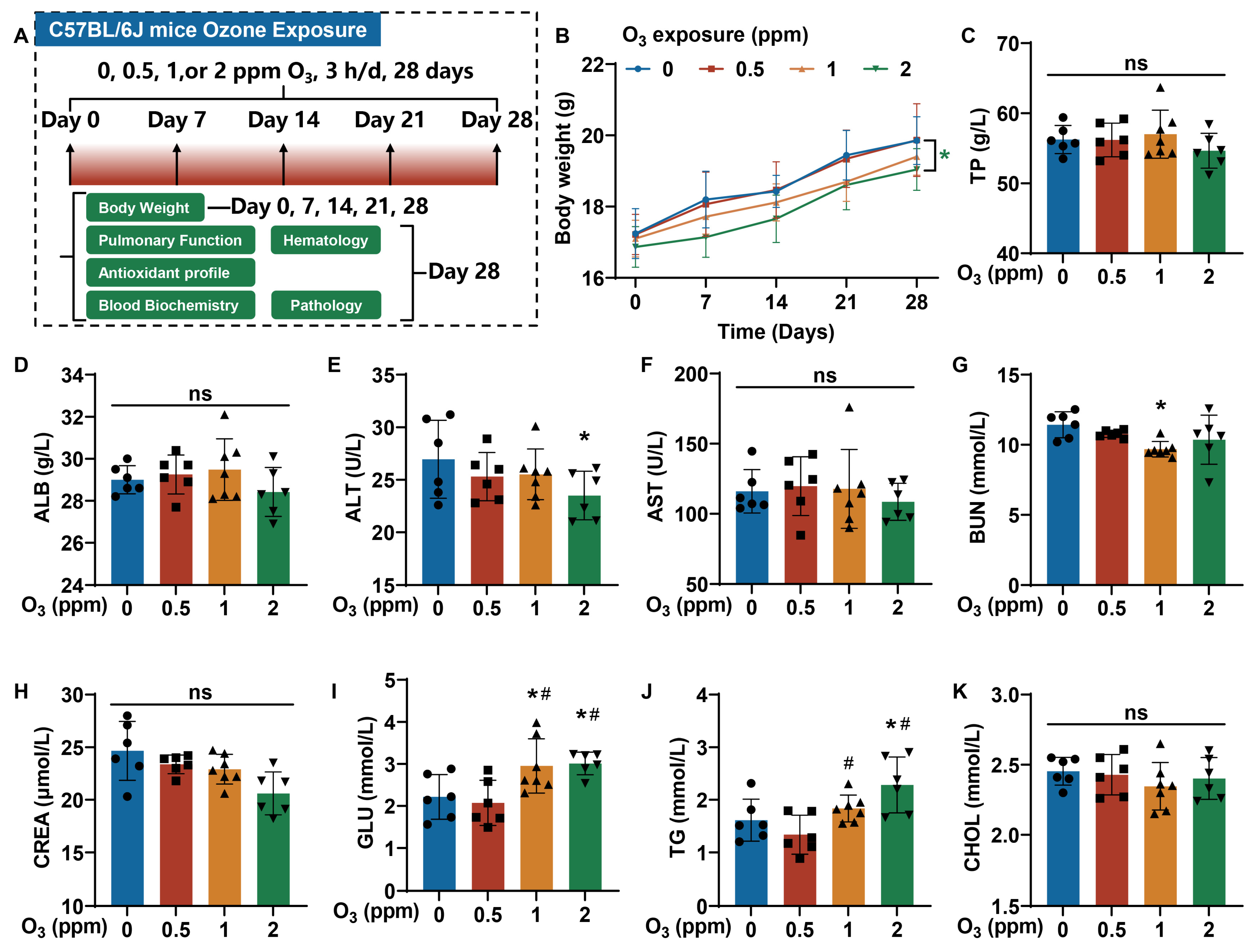Toxics 13 00468 g001