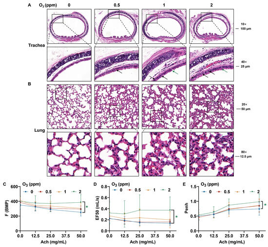 Toxics 13 00468 g002