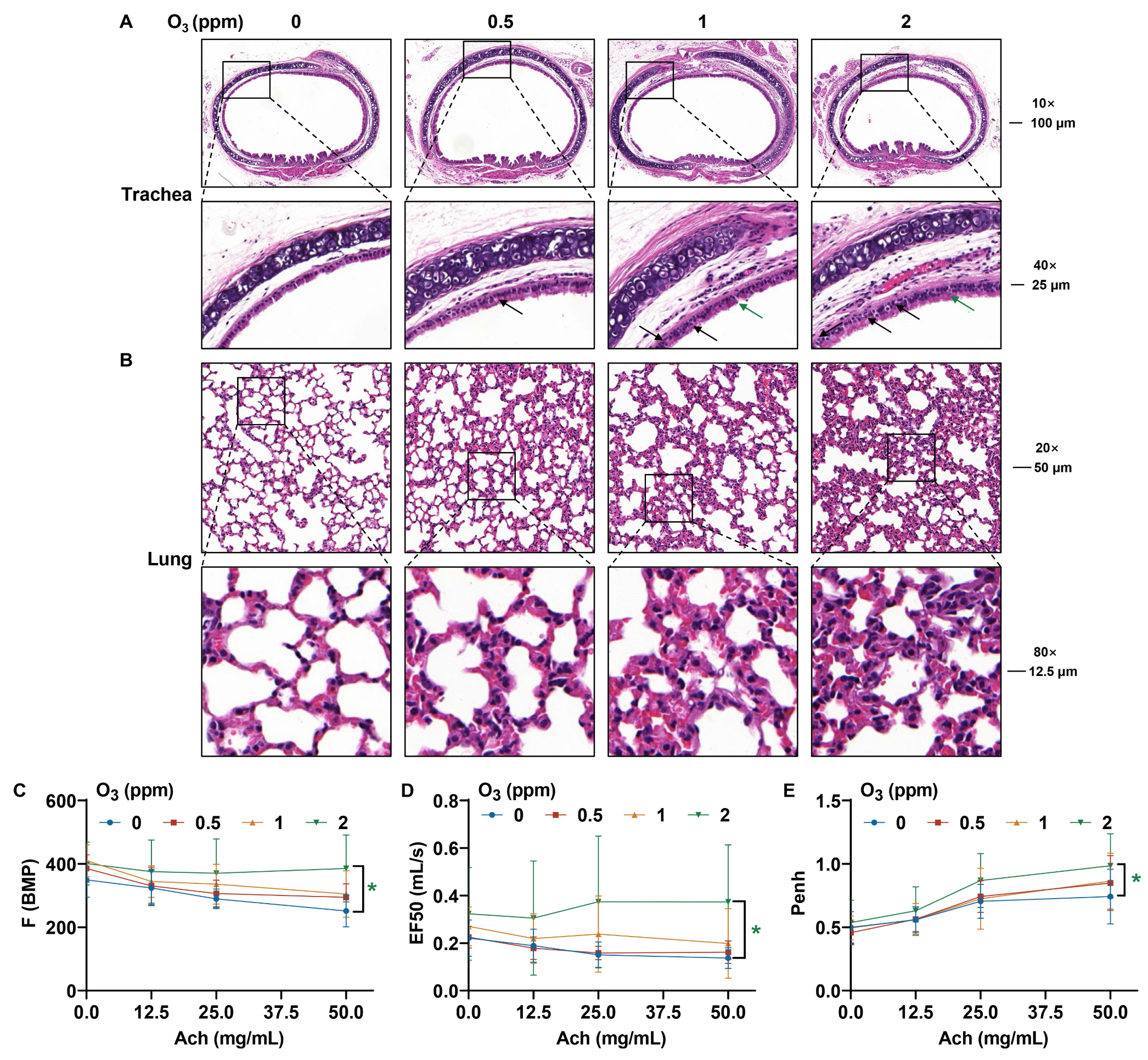 Toxics 13 00468 g002