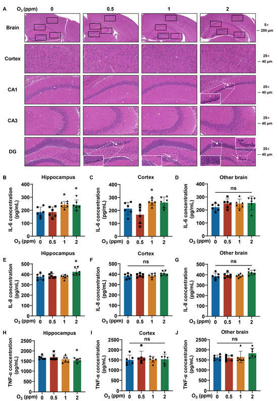 Toxics 13 00468 g006