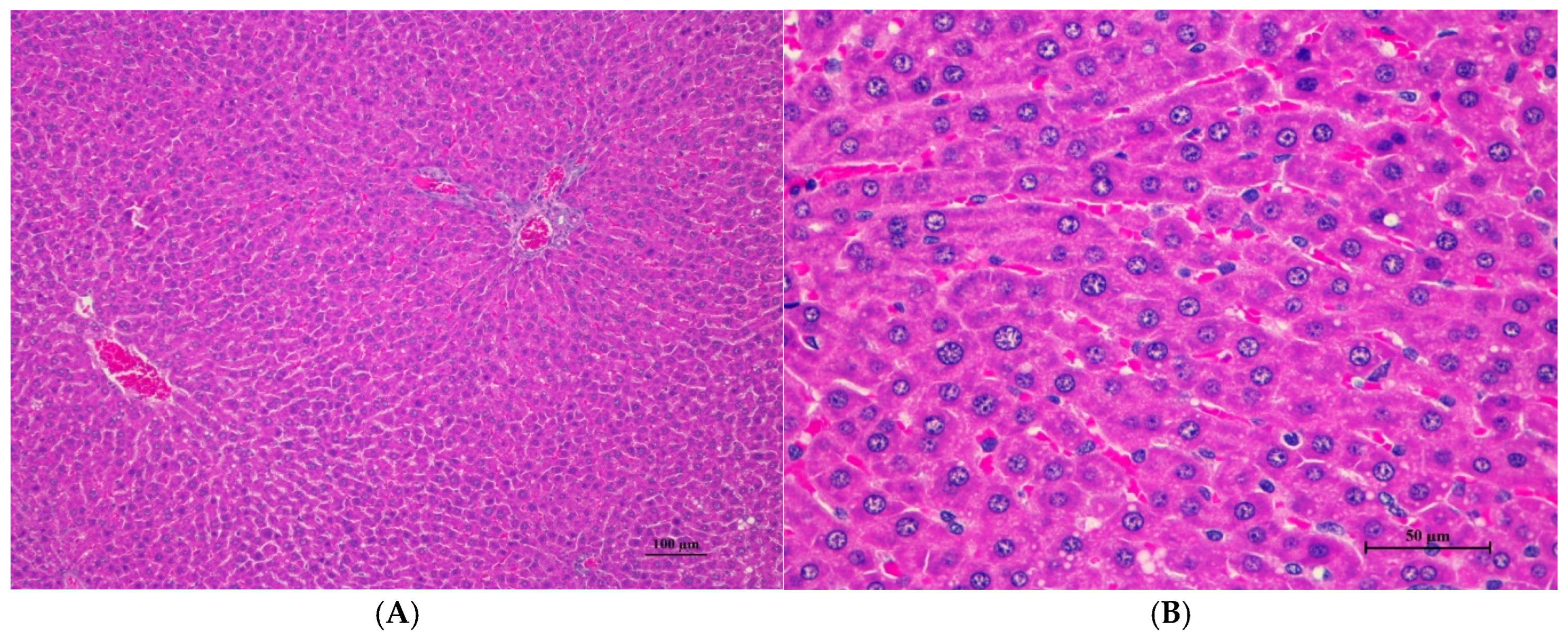 Toxics 13 00473 g001