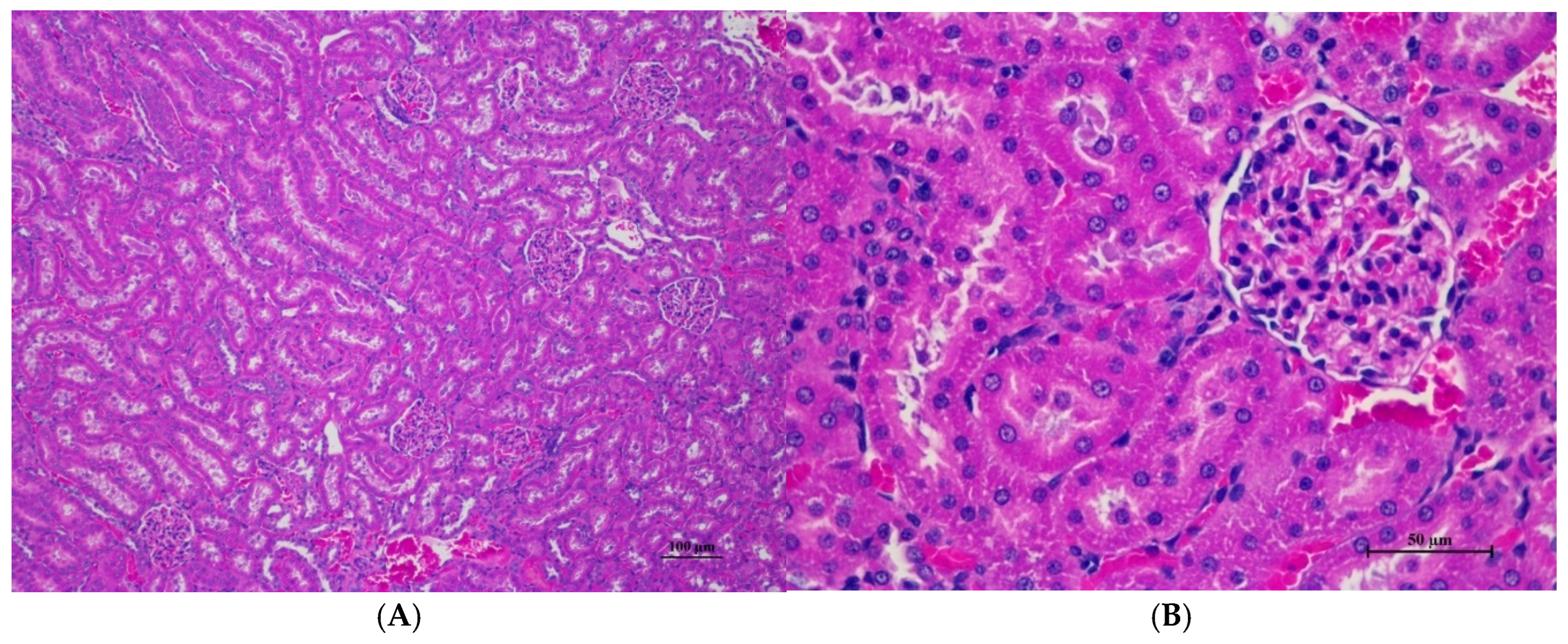 Toxics 13 00473 g002