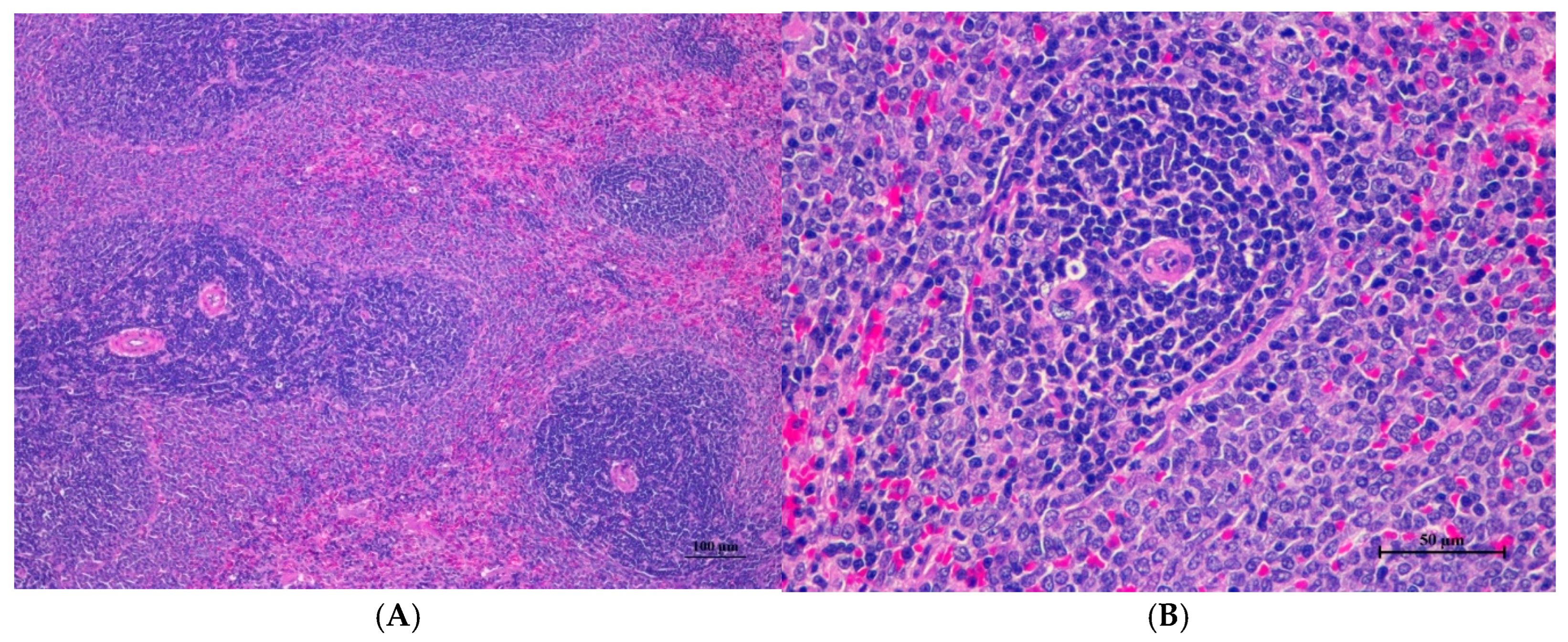 Toxics 13 00473 g004