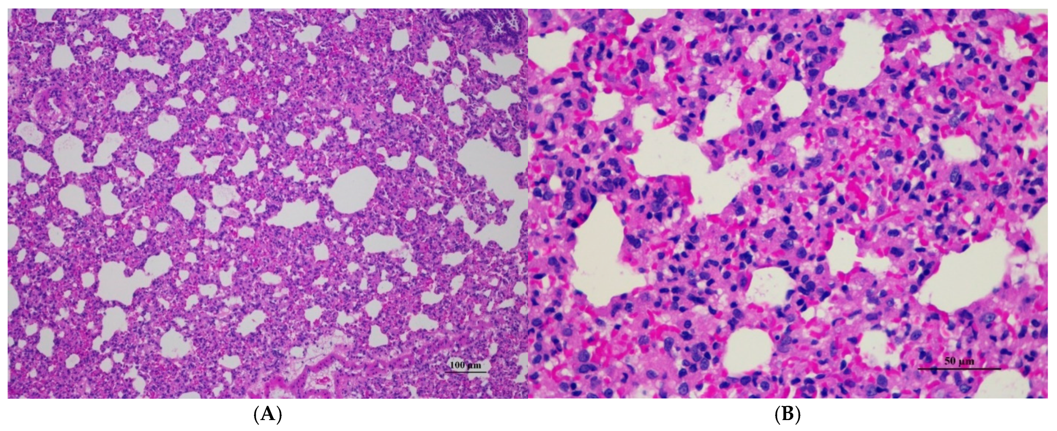 Toxics 13 00473 g010