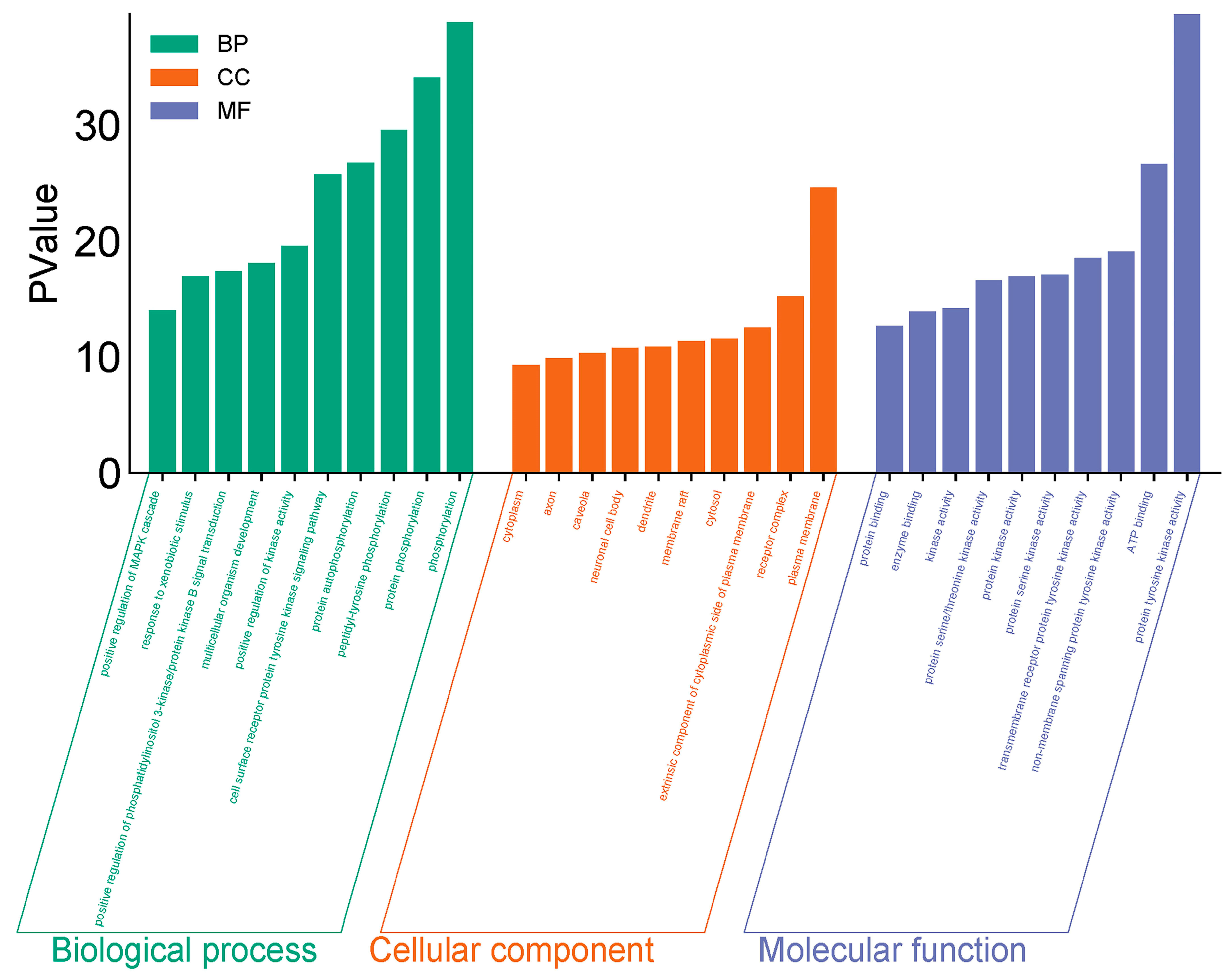Toxics 13 00480 g004