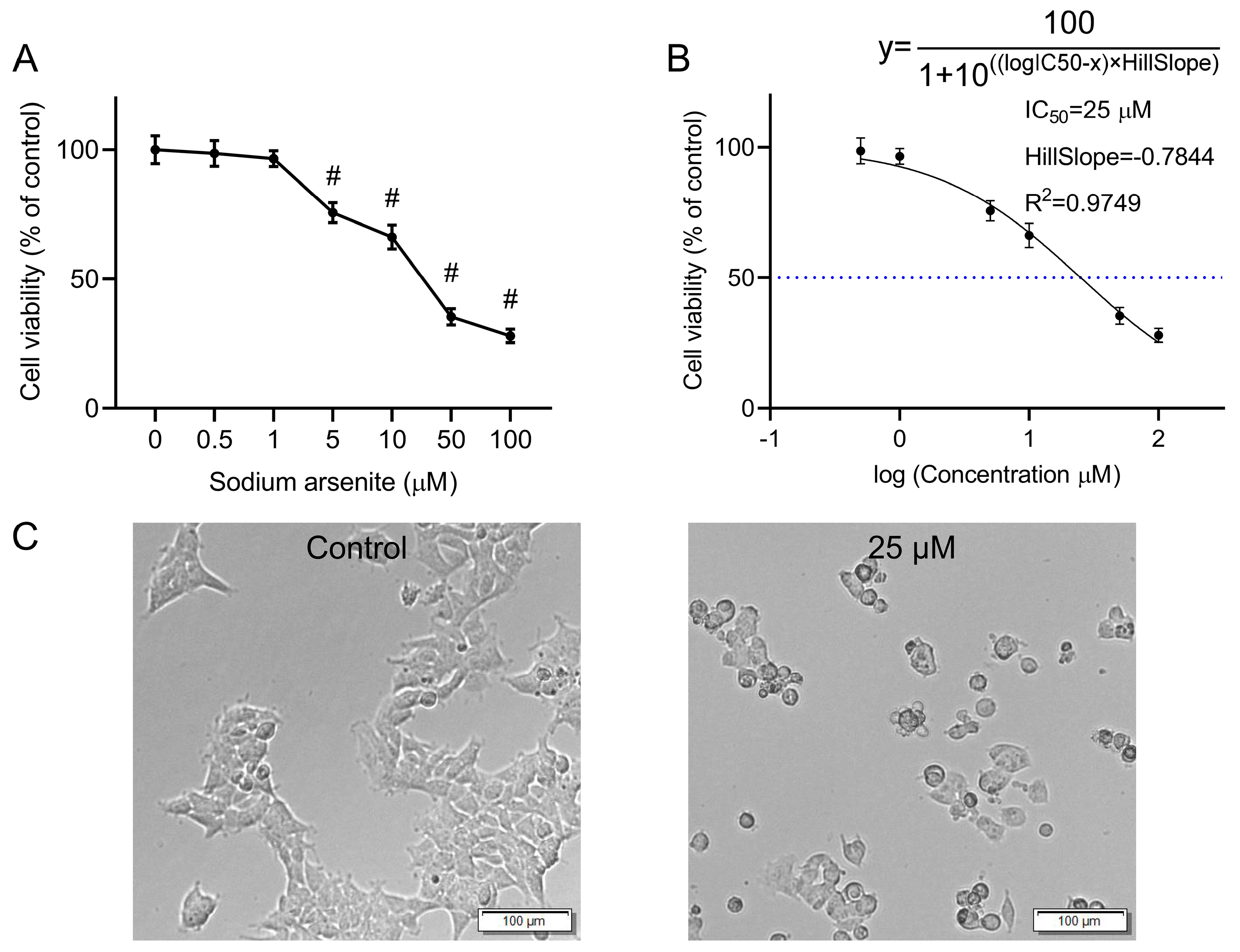 Toxics 13 00483 g001