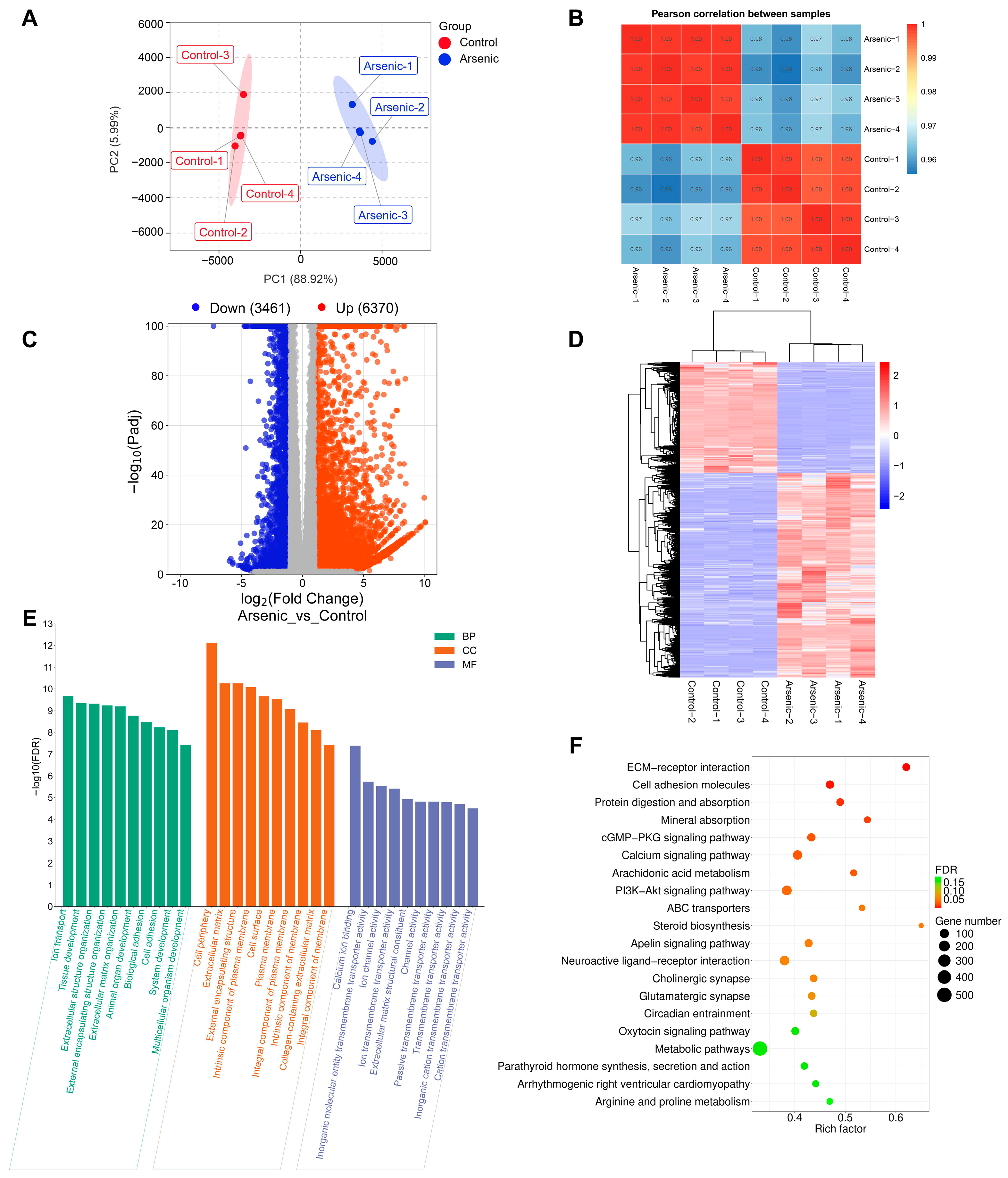 Toxics 13 00483 g004