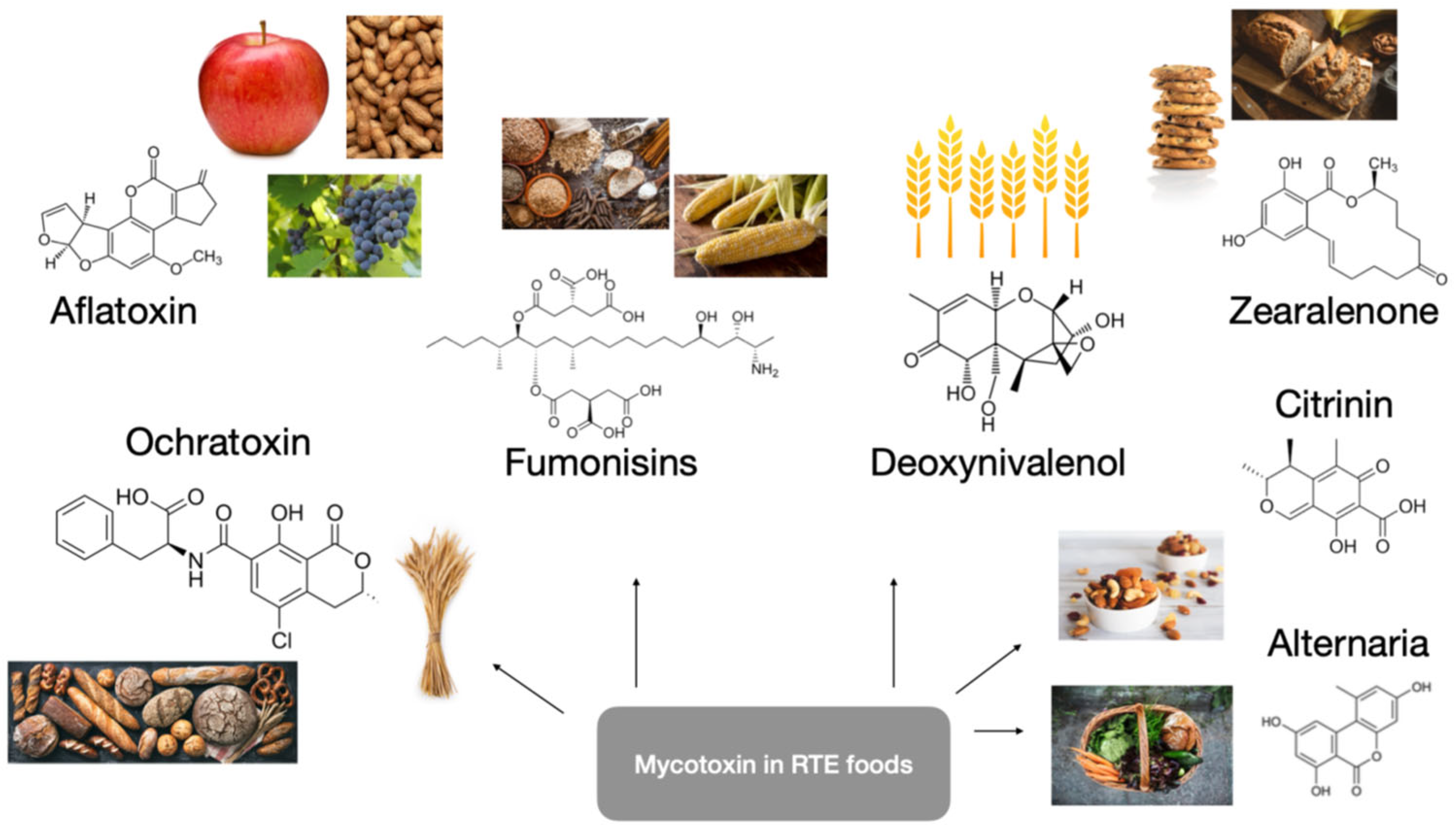 Toxics 13 00485 g001 Toxics 13 00485 g001