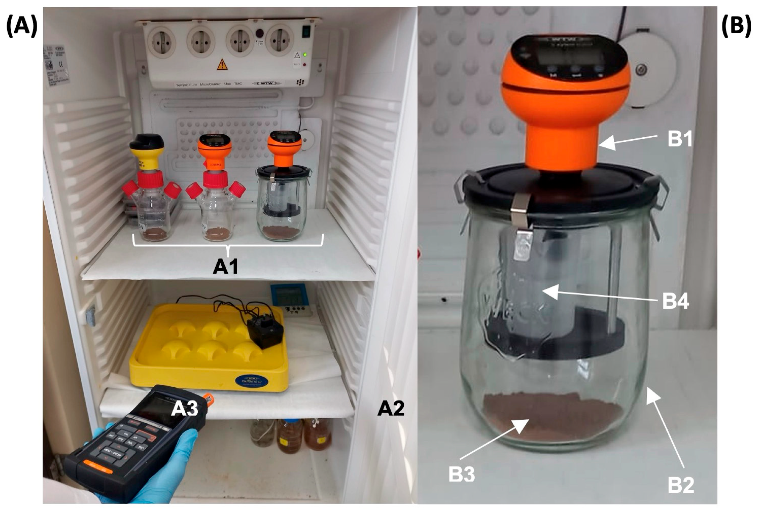 Toxics 13 00486 g001