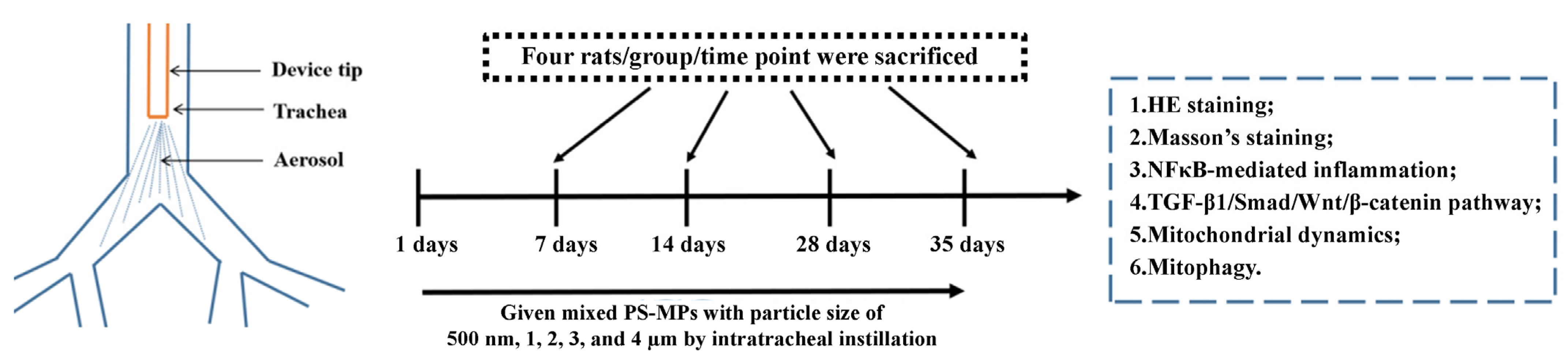 Toxics 13 00487 g001