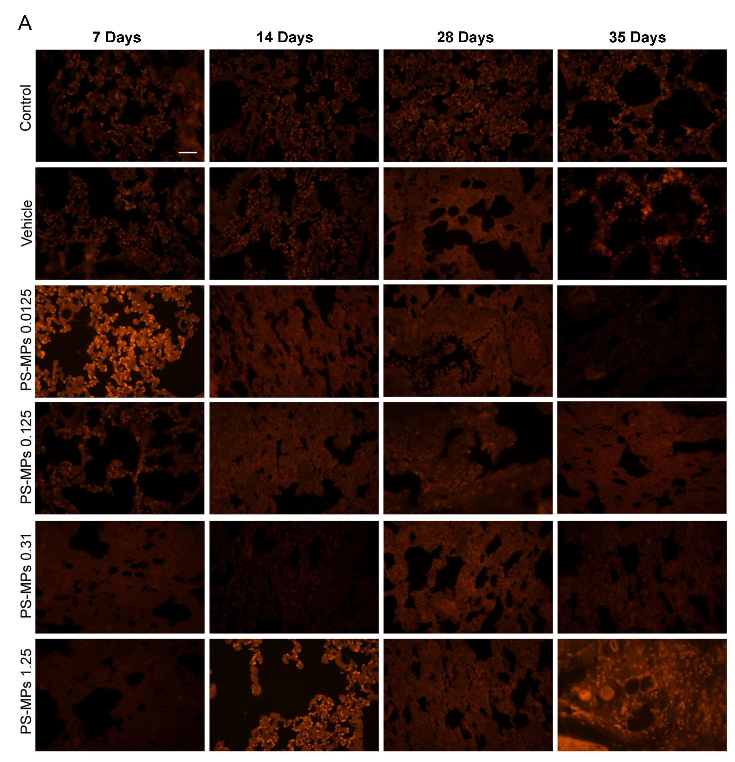 Toxics 13 00487 g002a