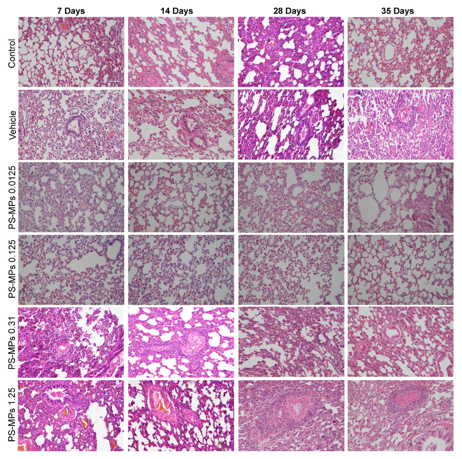 Toxics 13 00487 g004