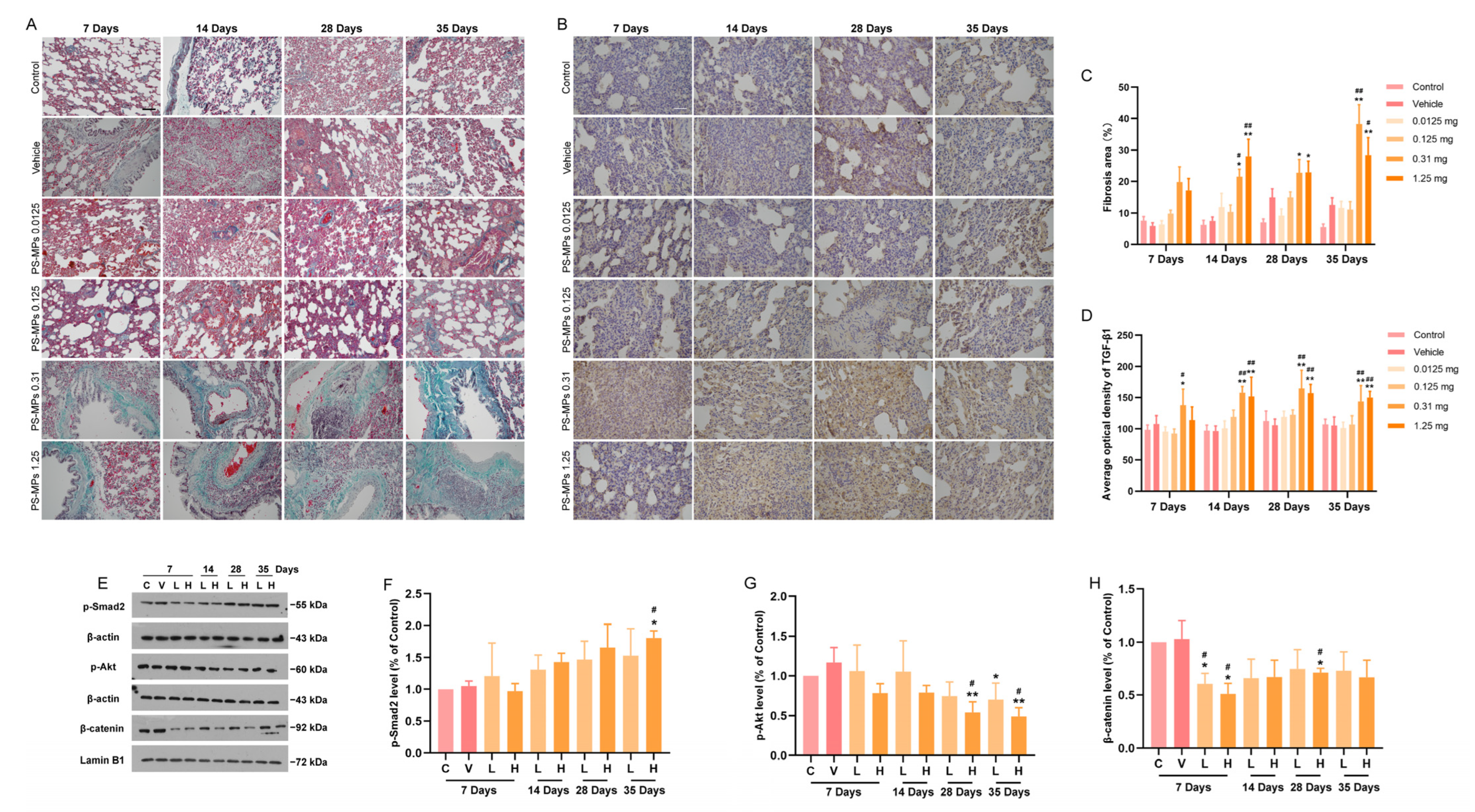 Toxics 13 00487 g006