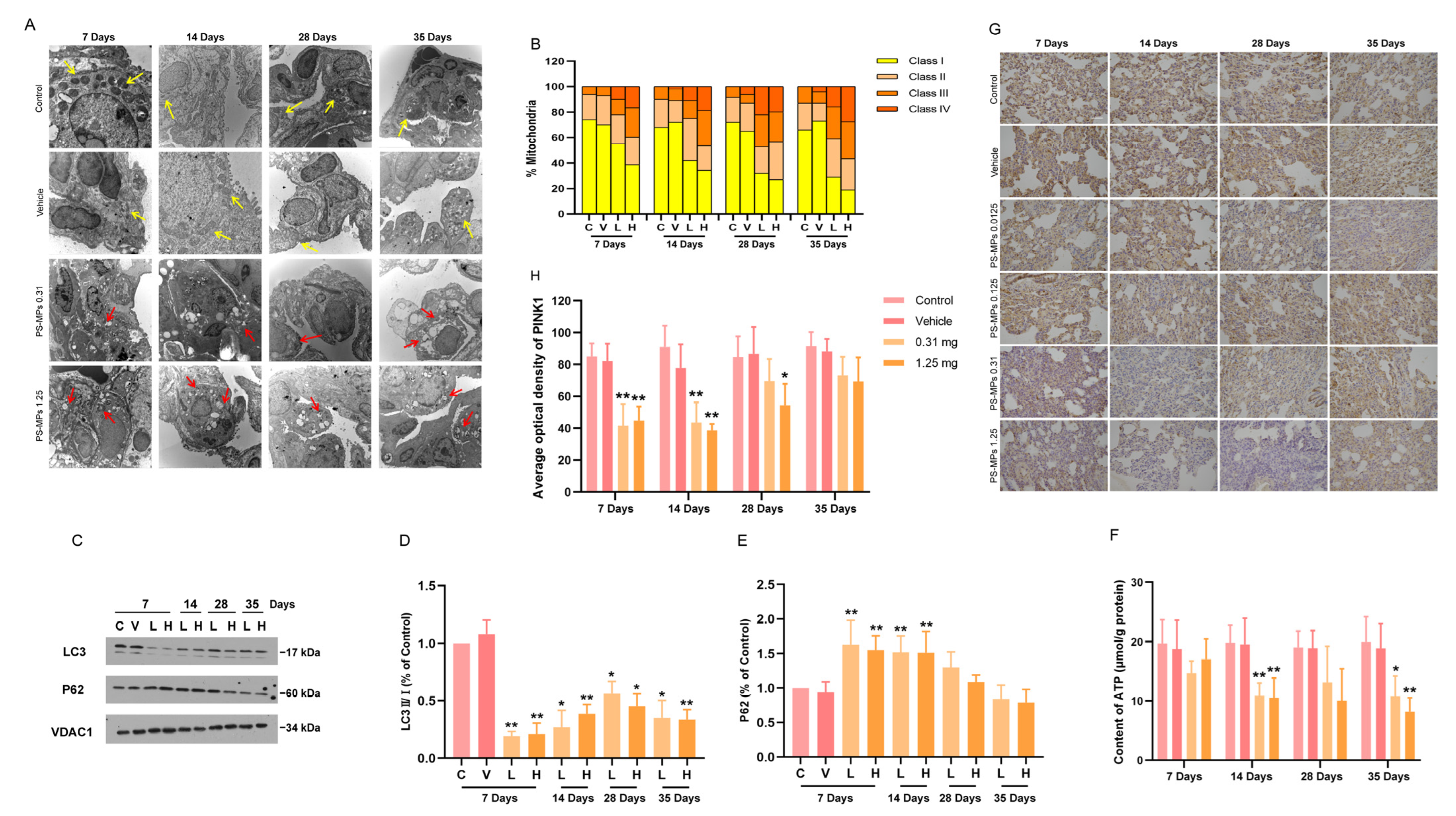Toxics 13 00487 g008