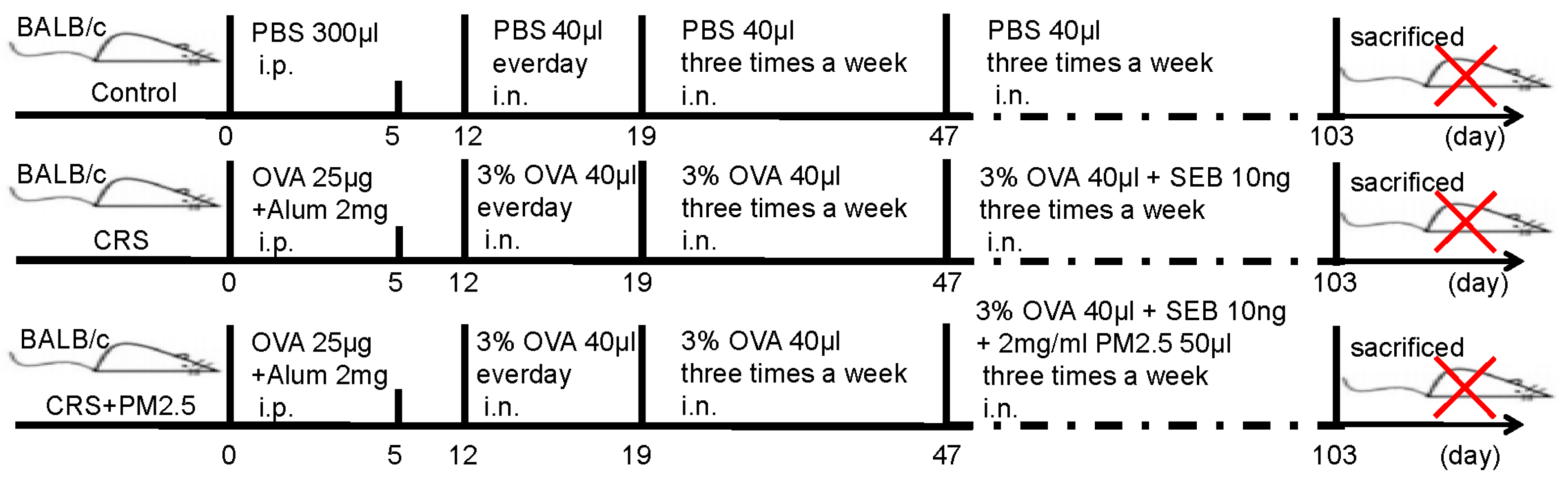 Toxics 13 00488 g001