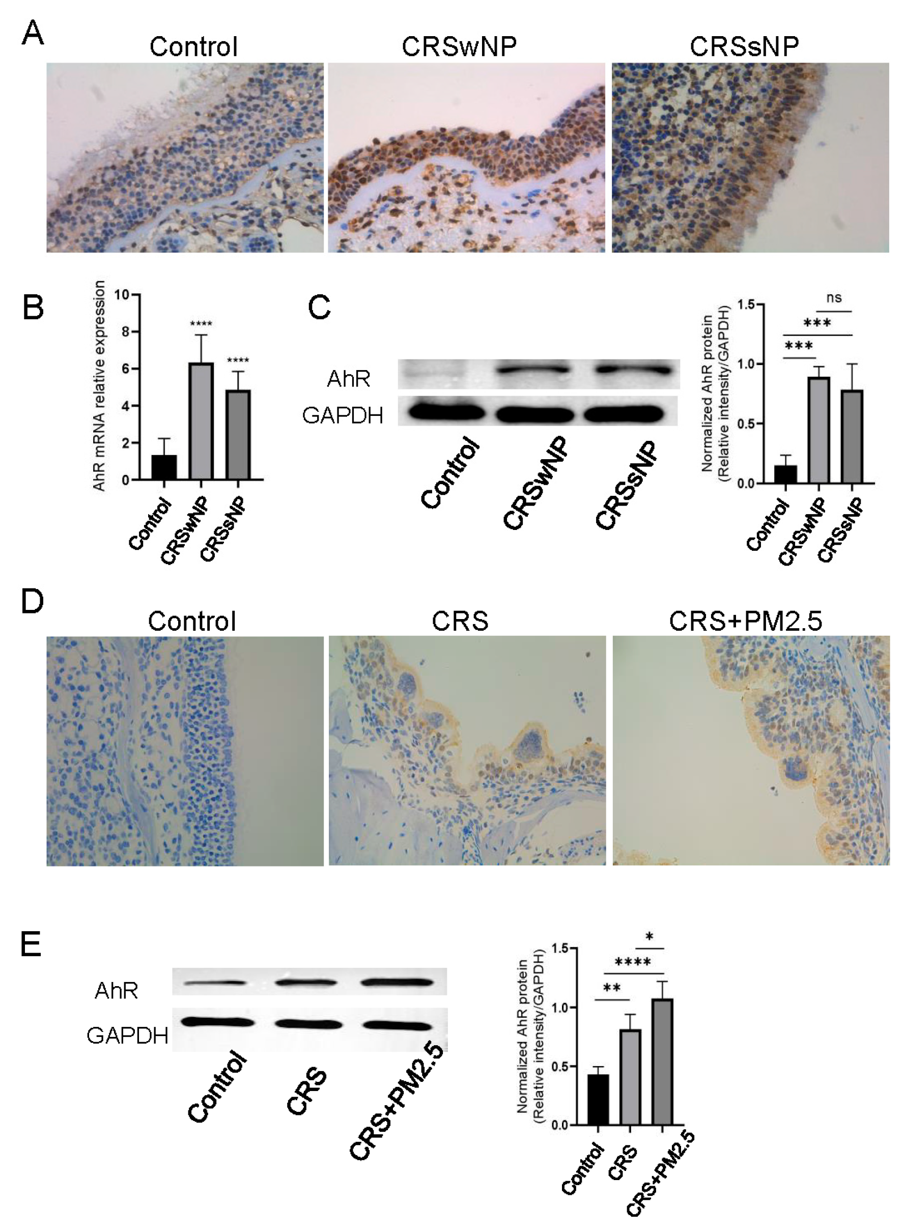 Toxics 13 00488 g002