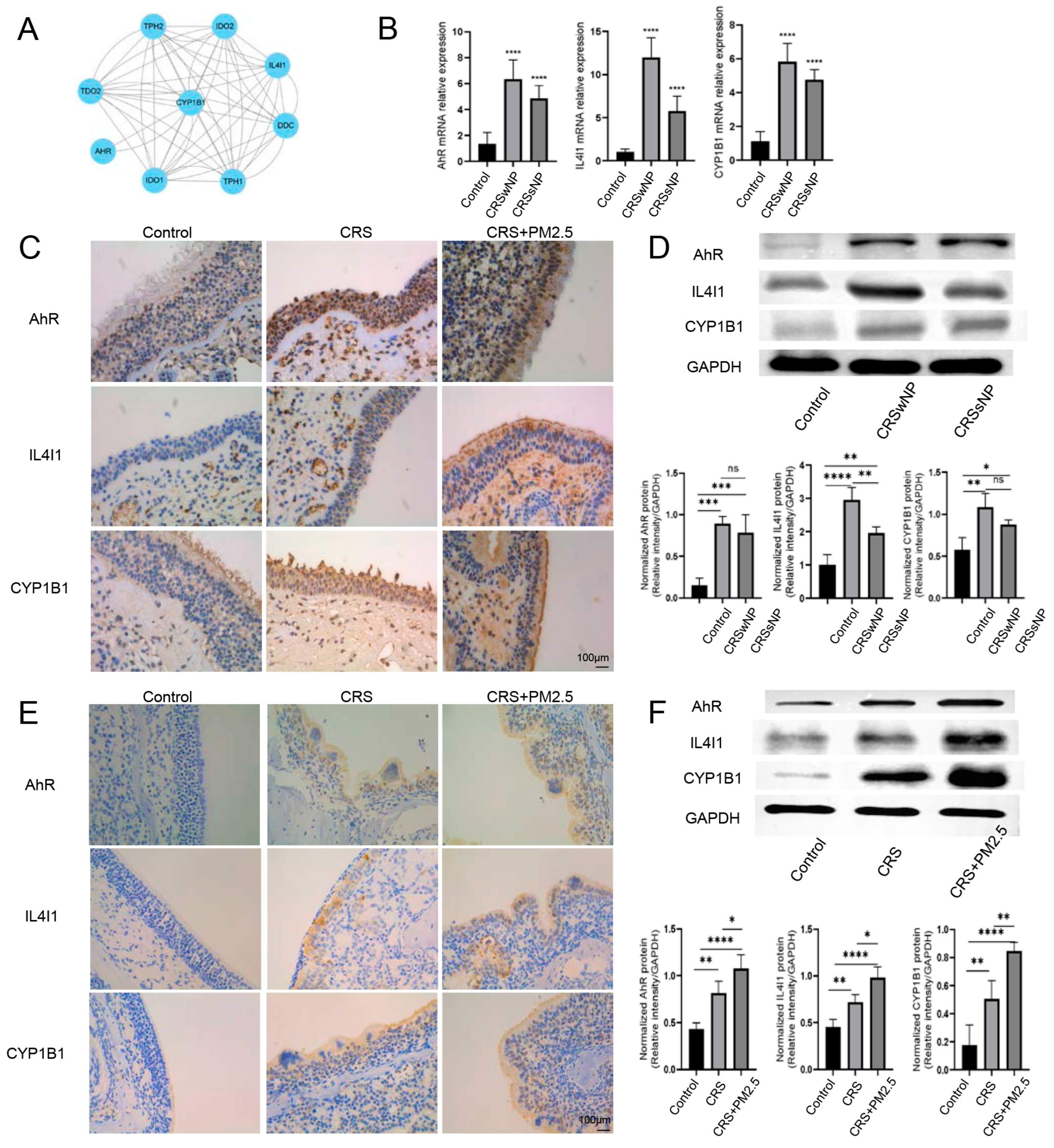 Toxics 13 00488 g004