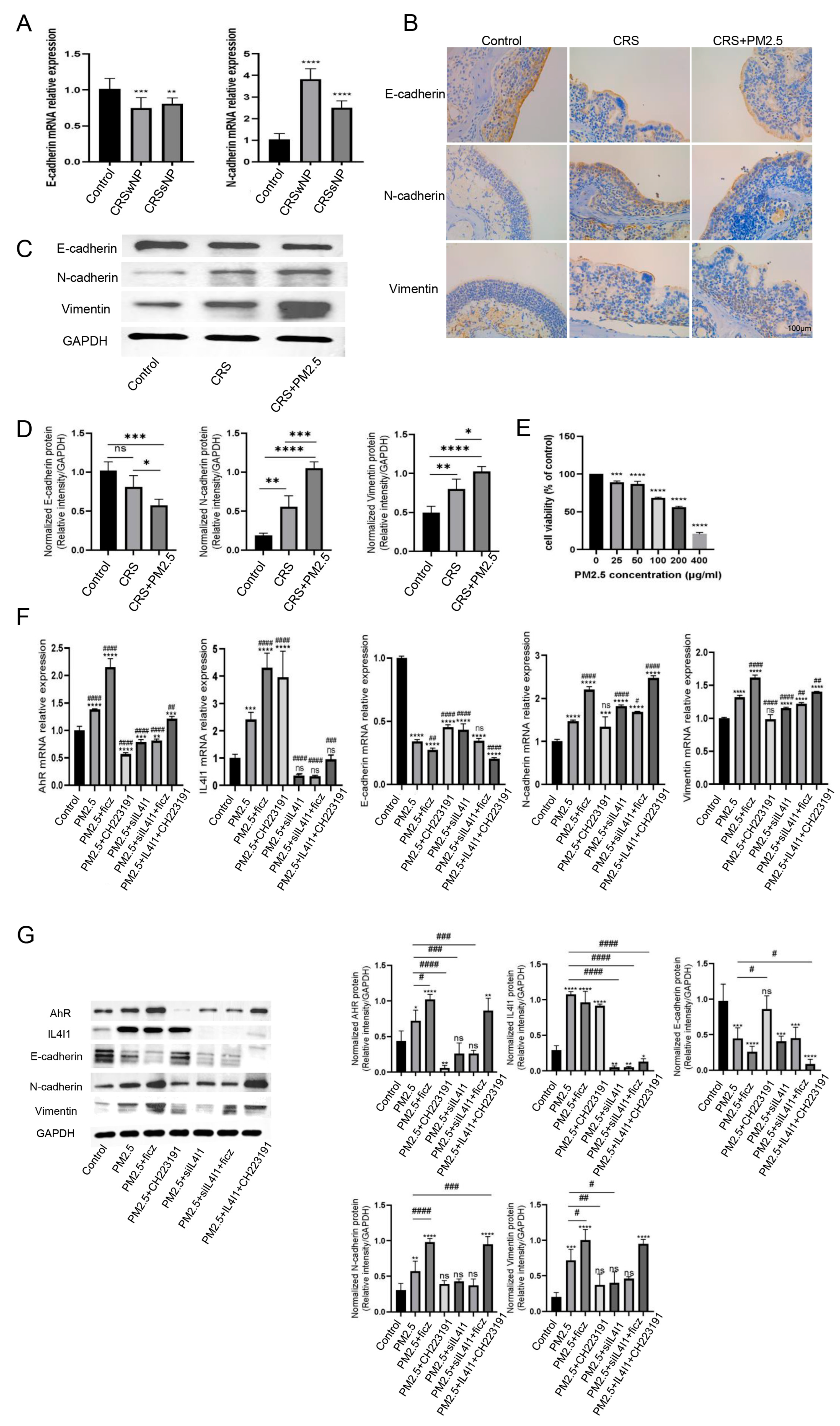 Toxics 13 00488 g005