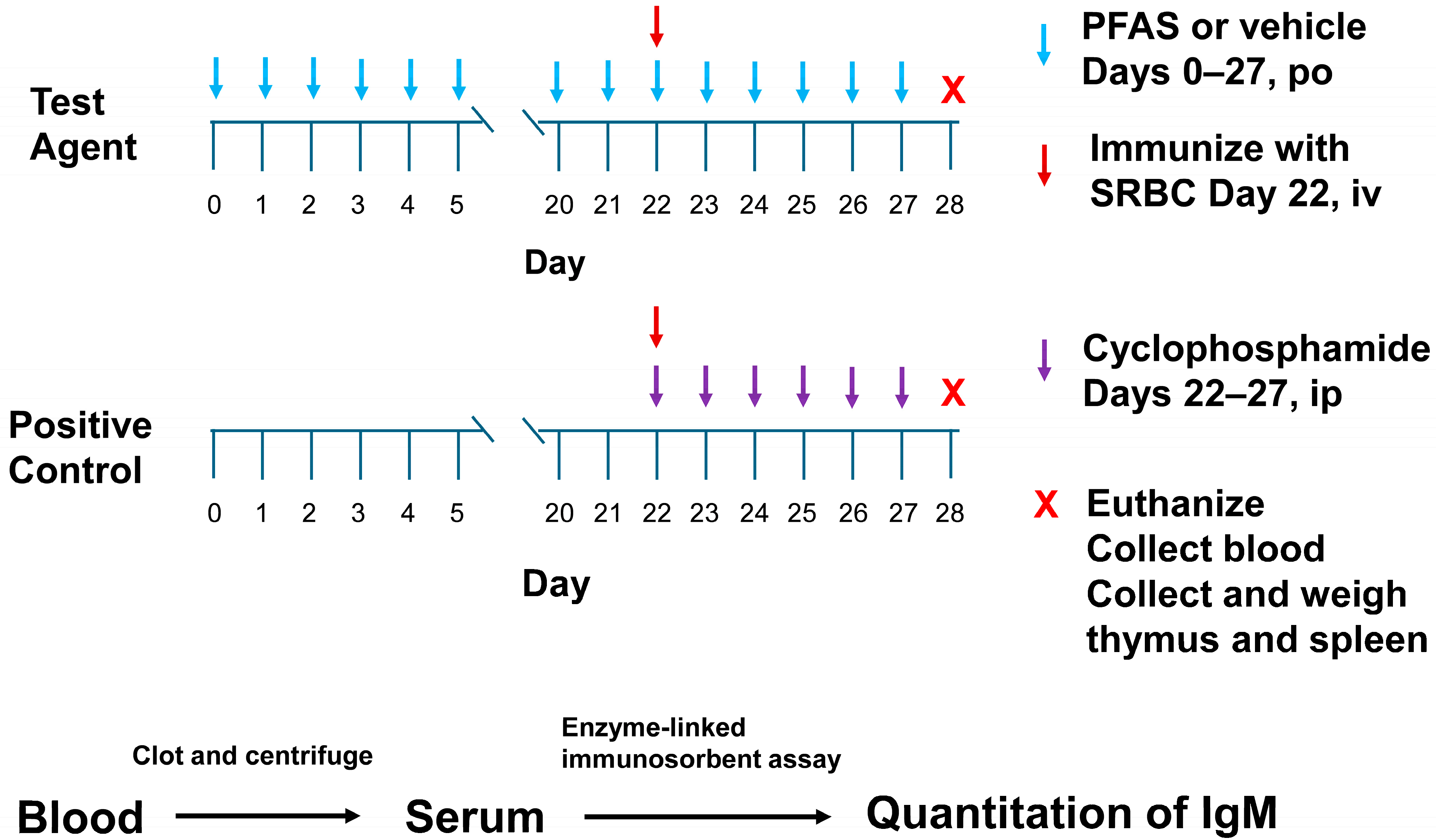 Toxics 13 00490 g002