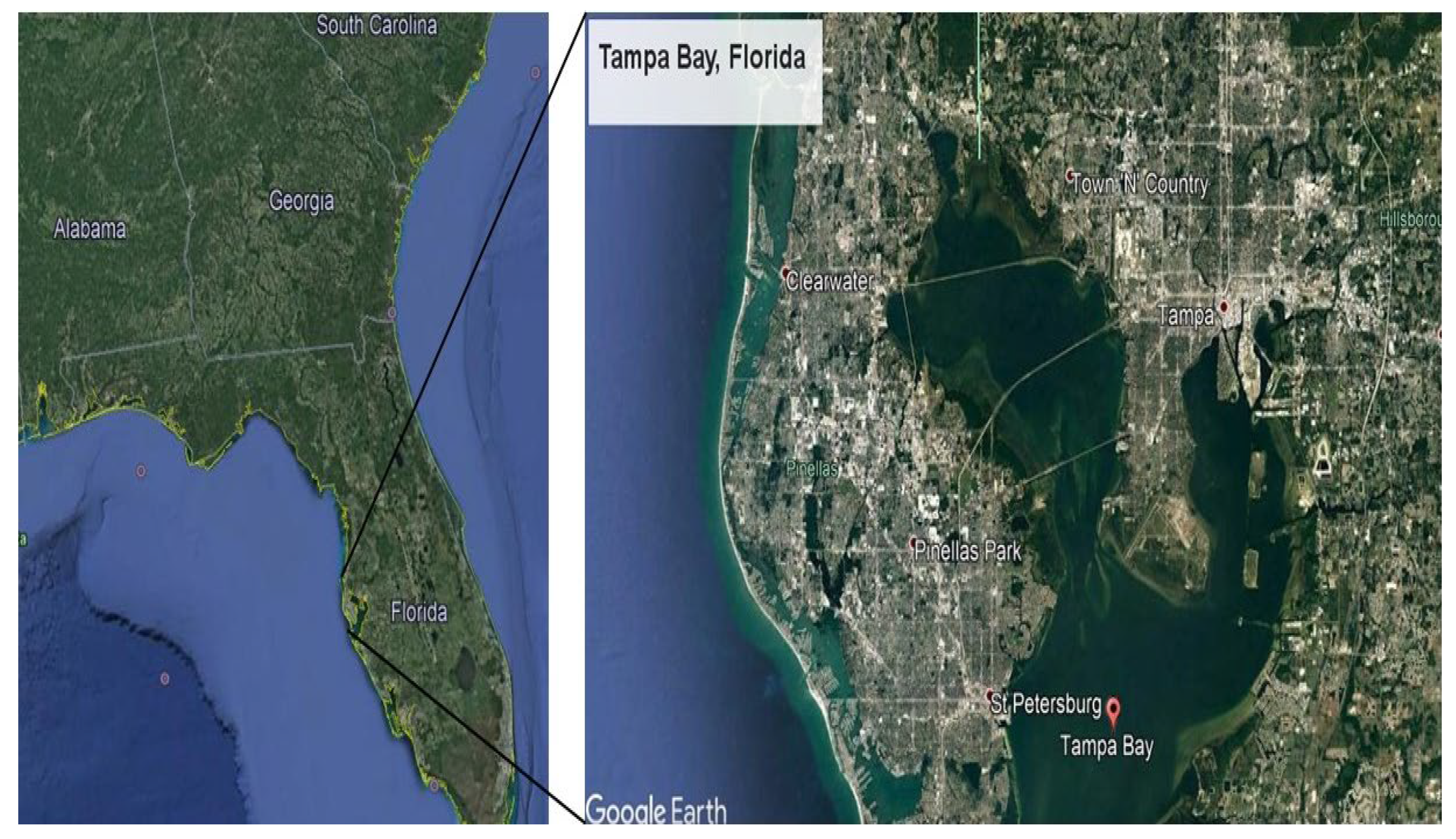 Toxics 13 00508 g001