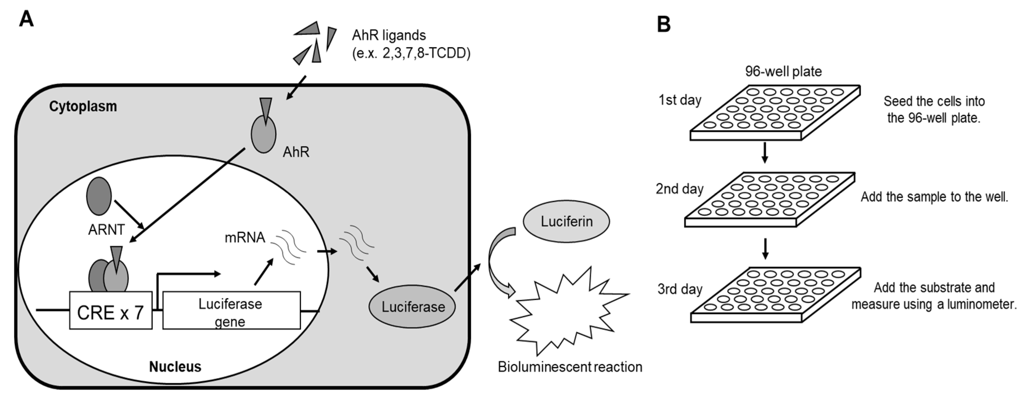 Toxics 13 00513 g001