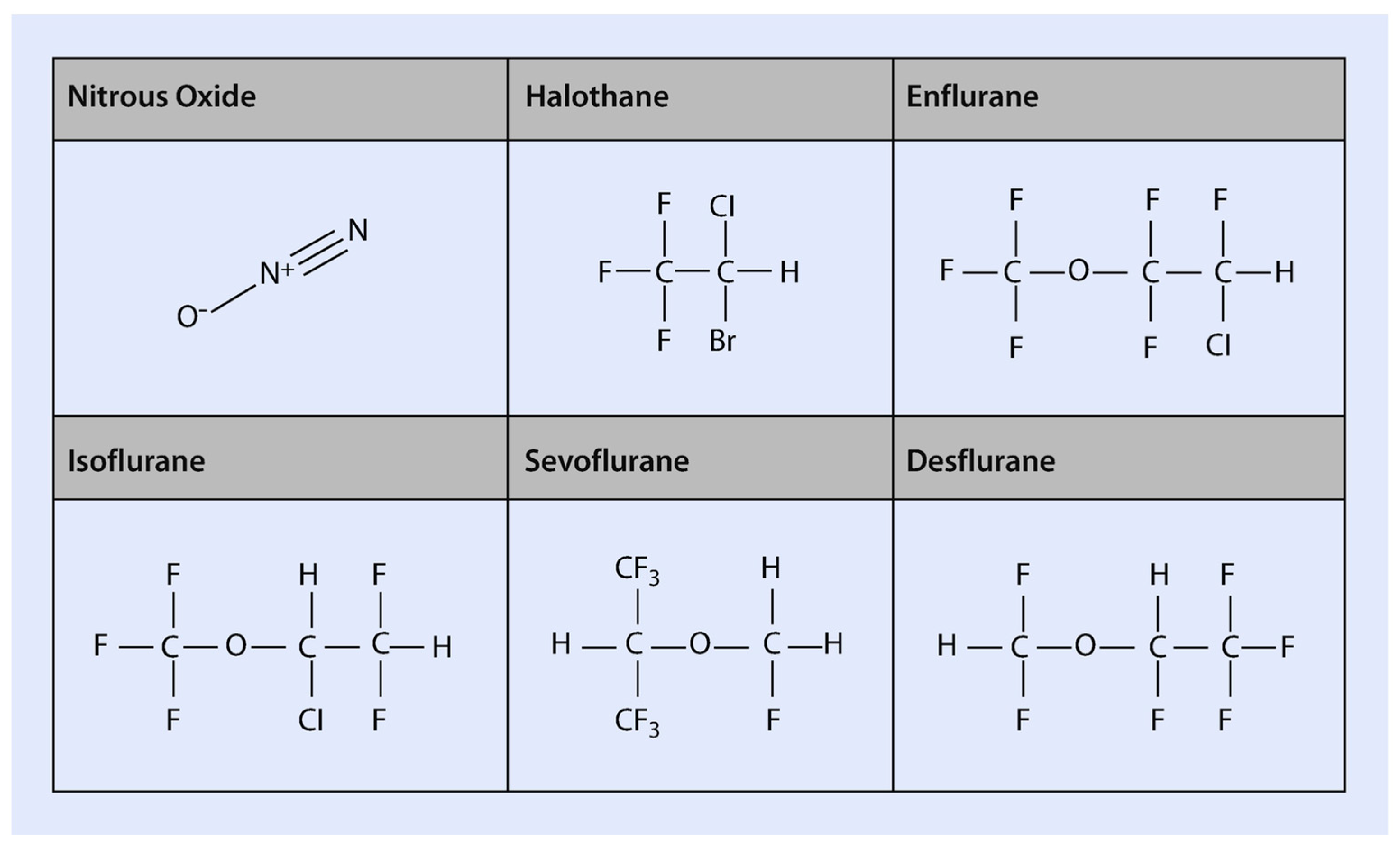 Toxics 13 00514 g001