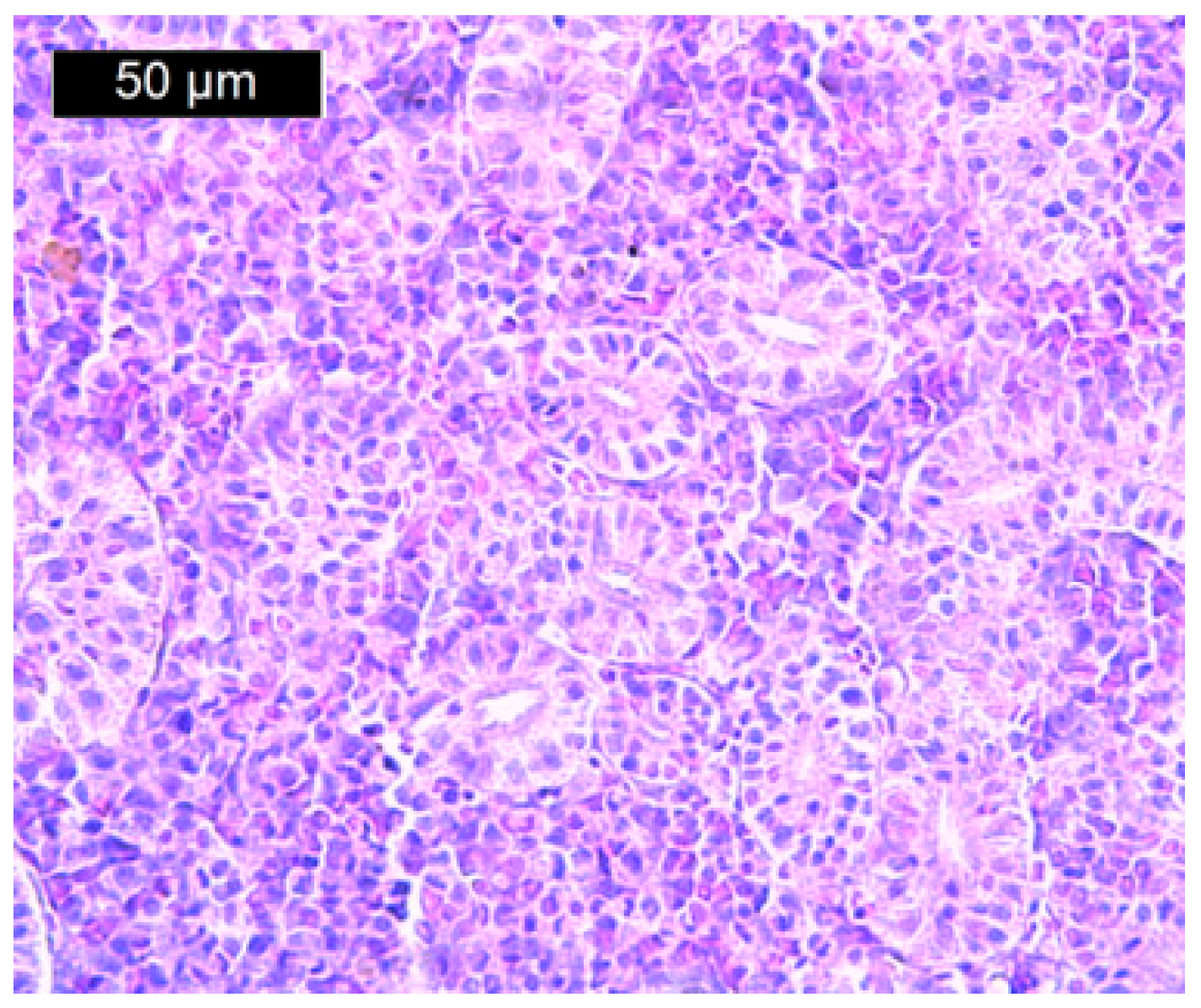Toxics 13 00518 g001