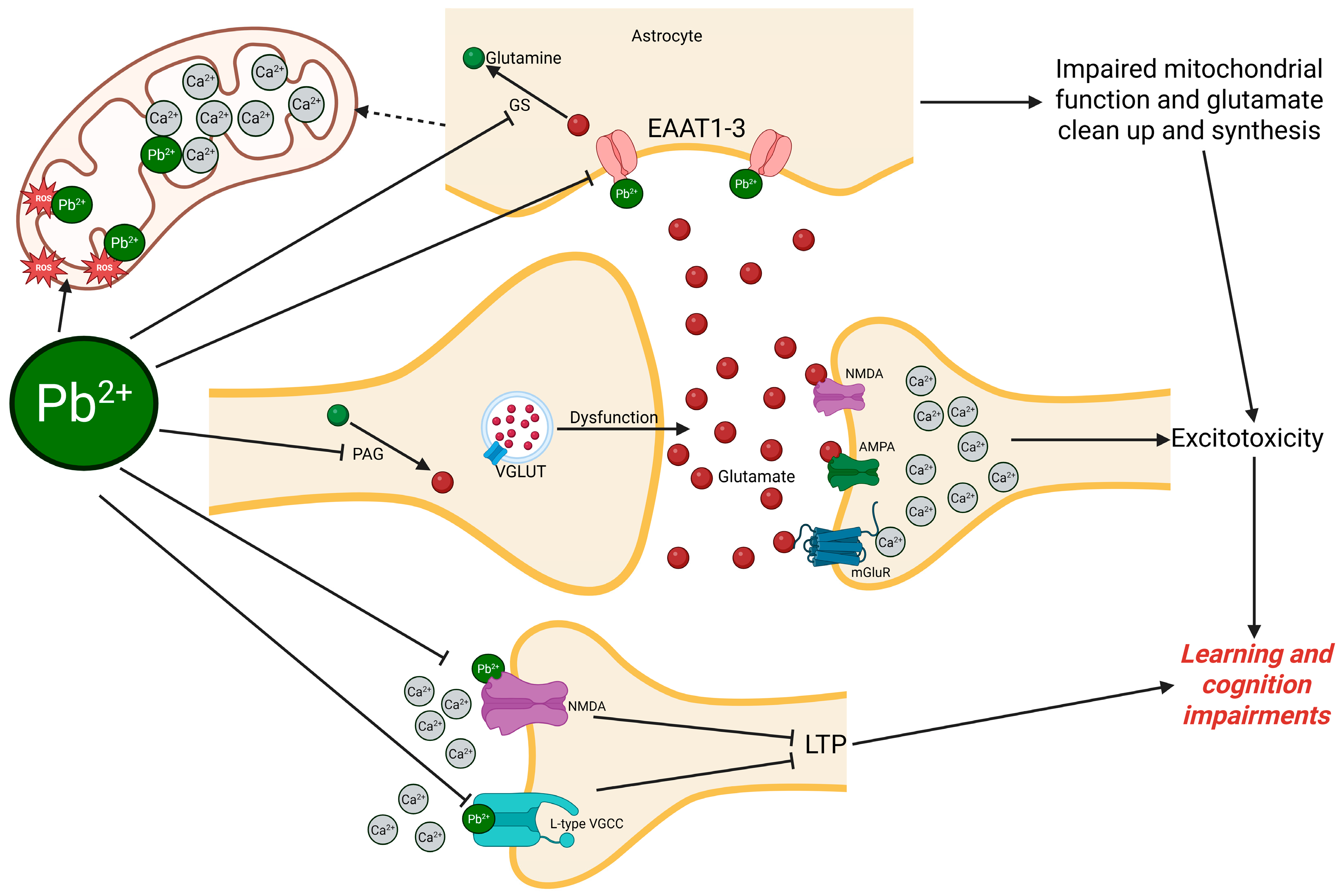 Toxics 13 00519 g002